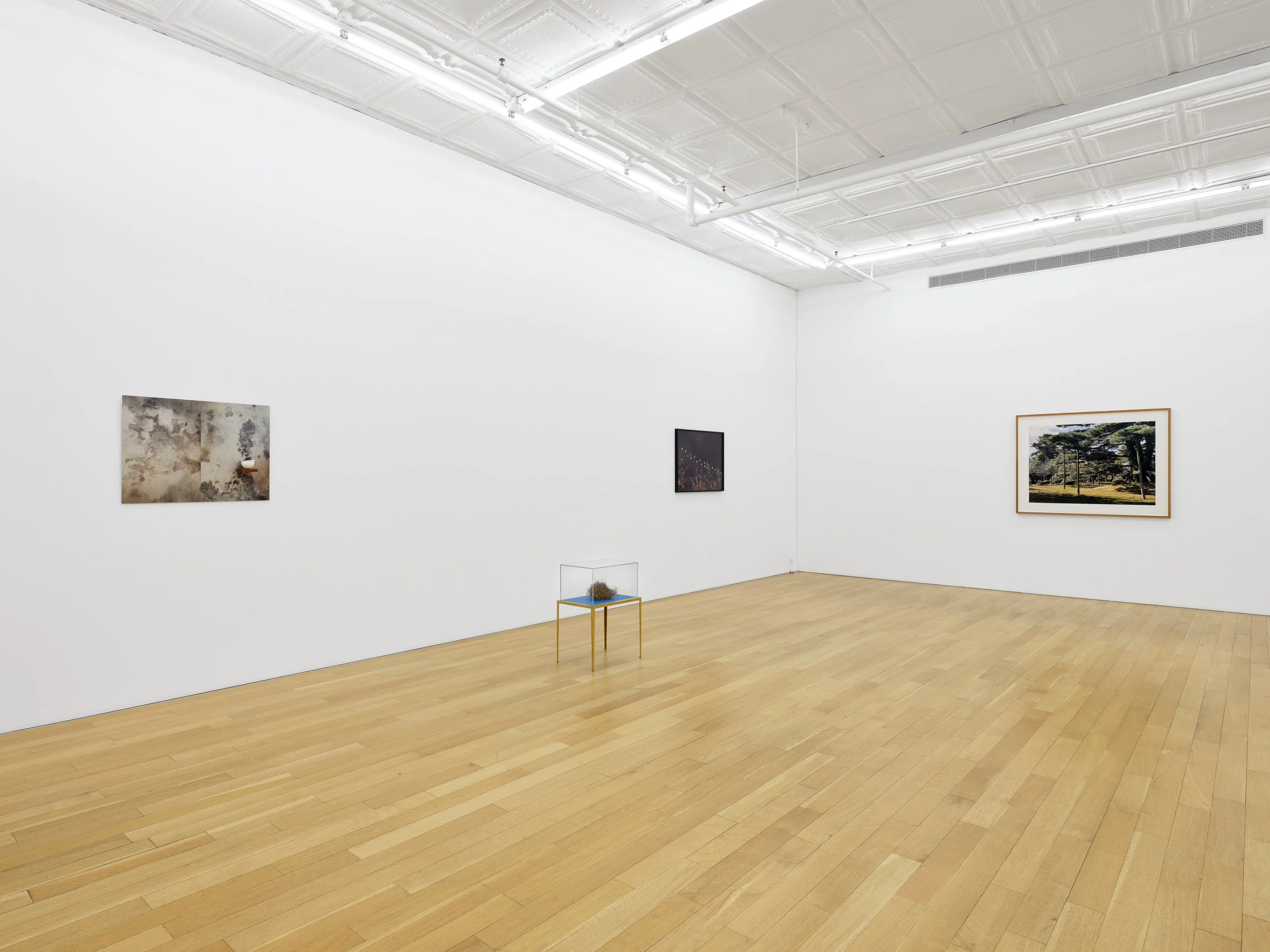 This is (not) a love song_Su-Mei Tse_install 10.jpg