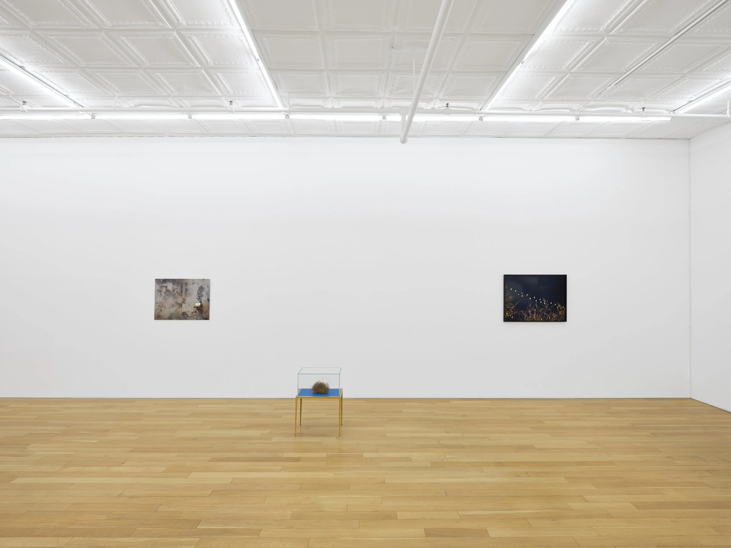 This is (not) a love song_Su-Mei Tse_install 11.jpg