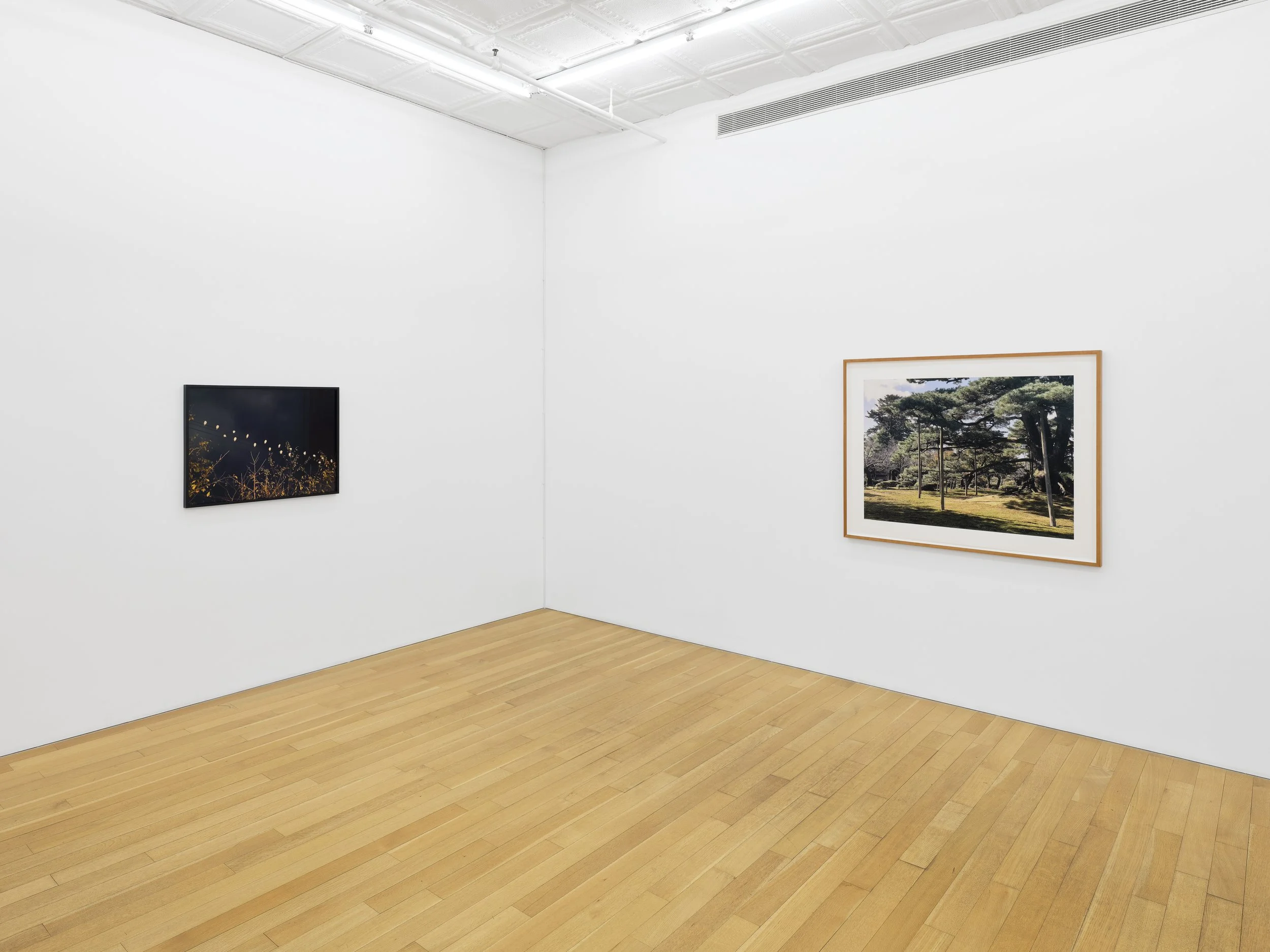 This is (not) a love song_Su-Mei Tse_install 12.jpg