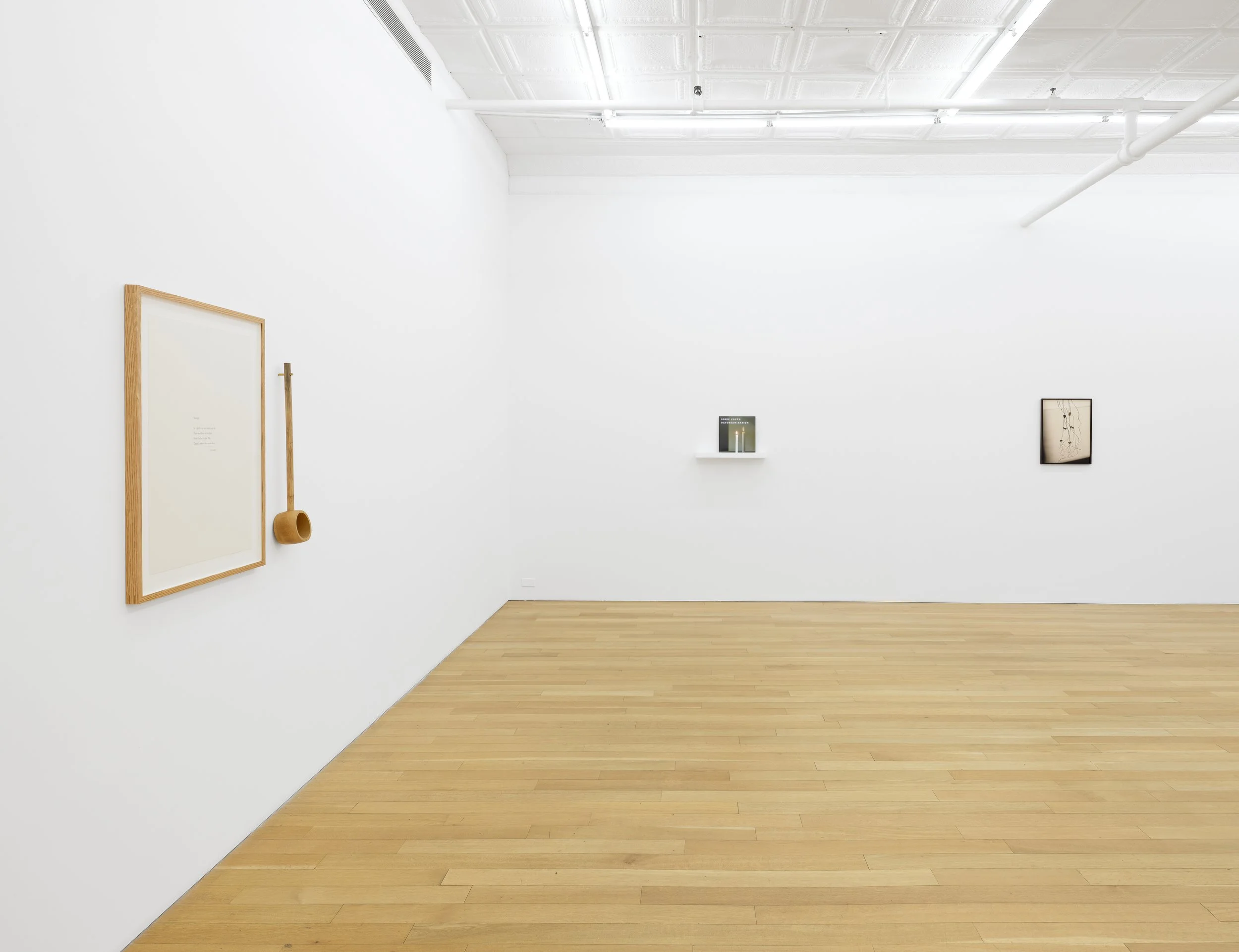 This is (not) a love song_Su-Mei Tse_install 17.jpg