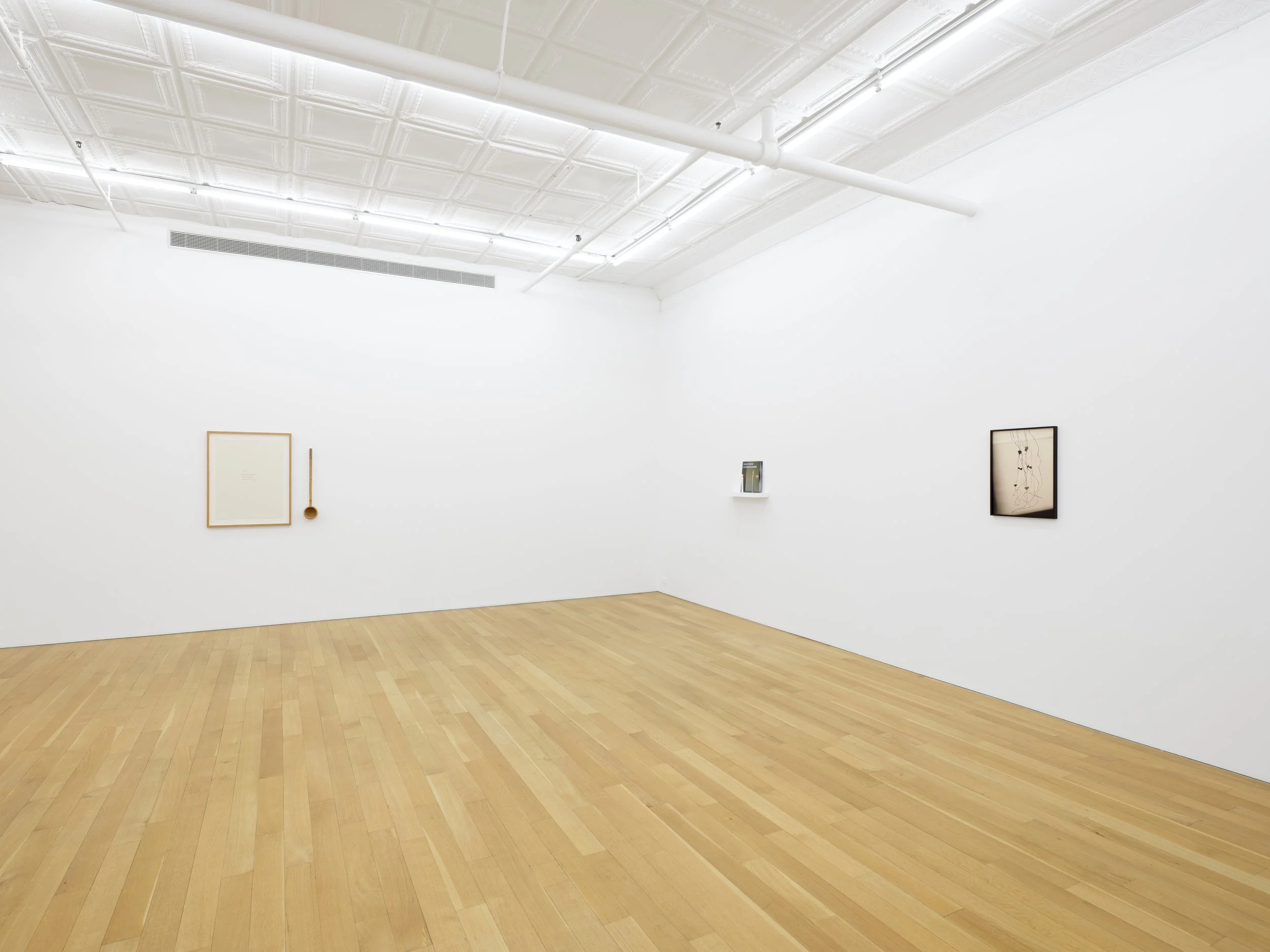 This is (not) a love song_Su-Mei Tse_install 20.jpg