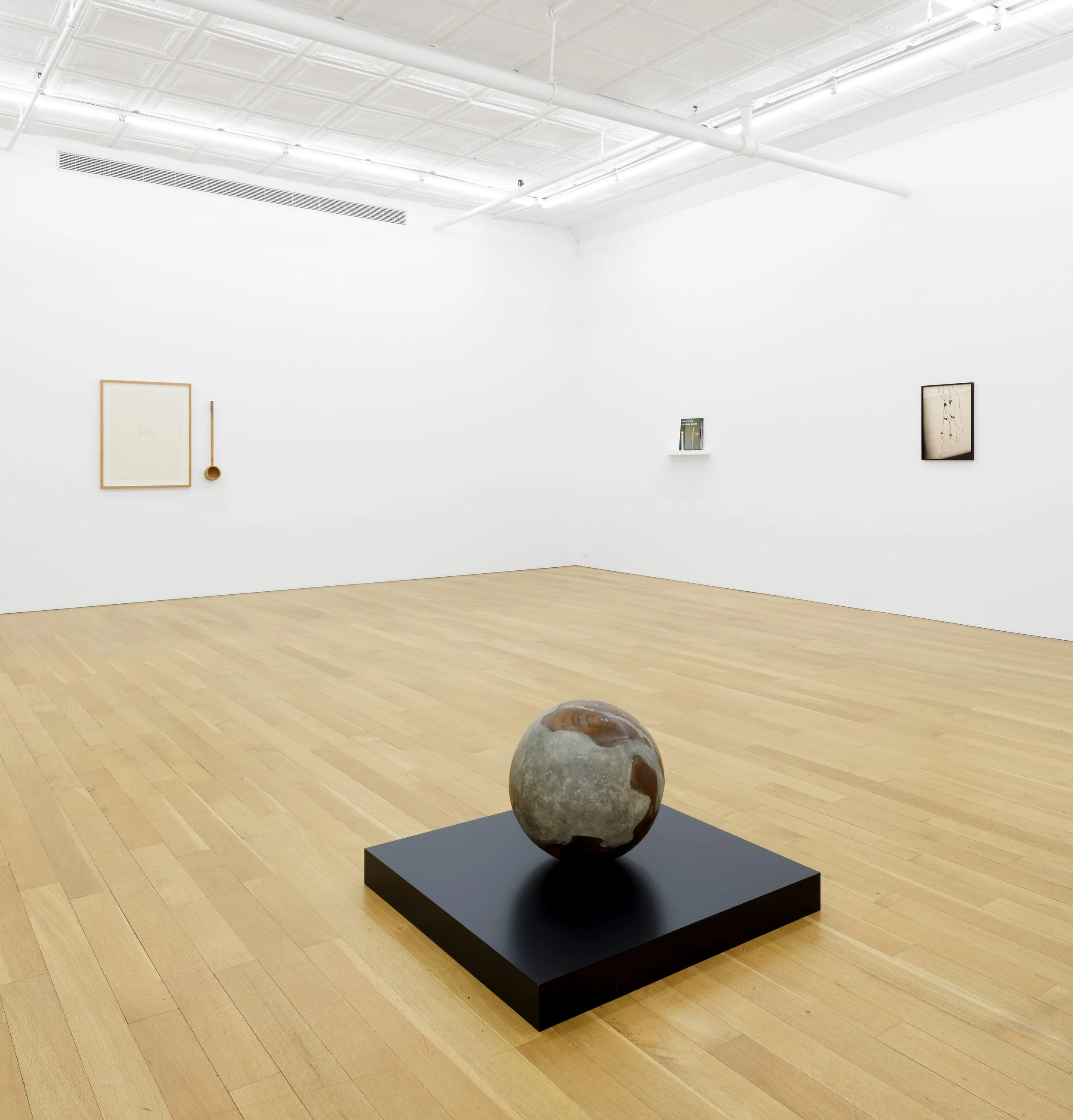 This is (not) a love song_Su-Mei Tse_install 21.jpg