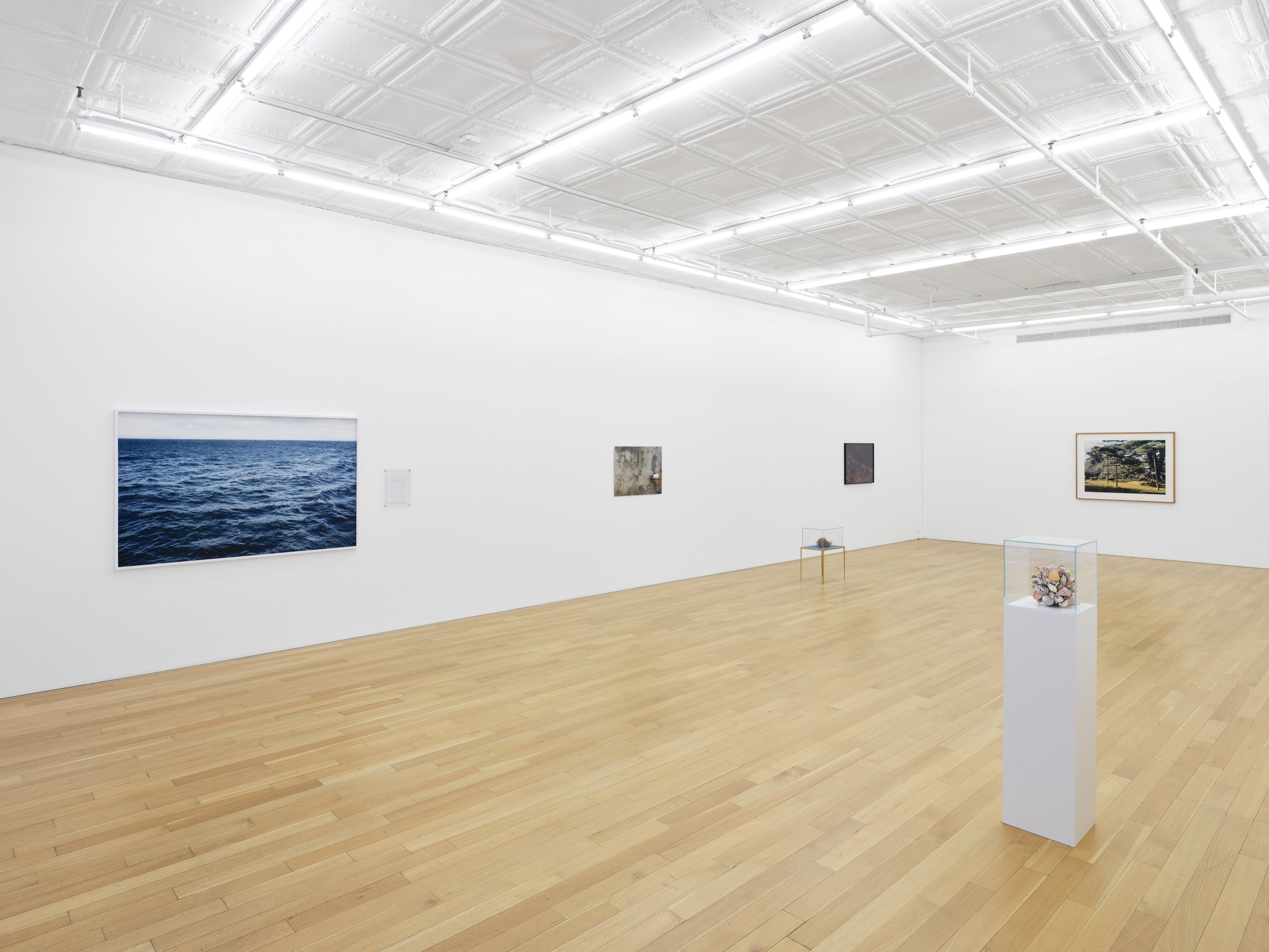 This is (not) a love song_Su-Mei Tse_install 4.jpg