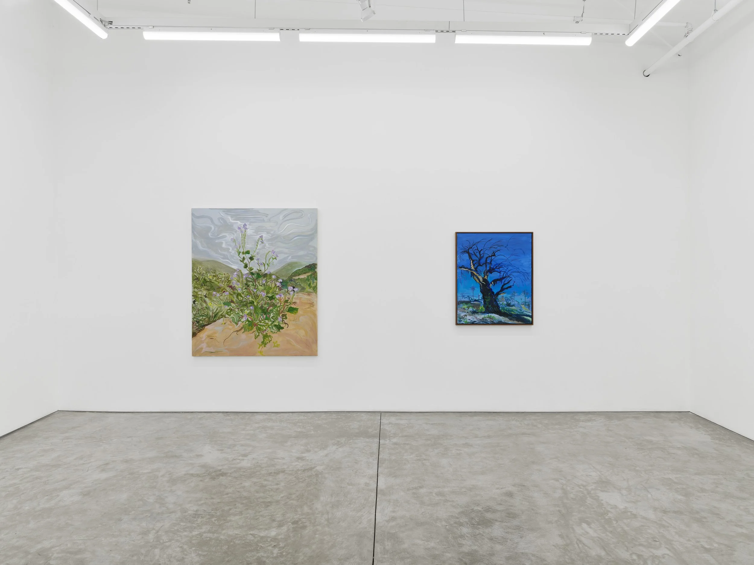 20260221_NightGallery_MiraDancy-0006 straight paintings-4000px.jpg