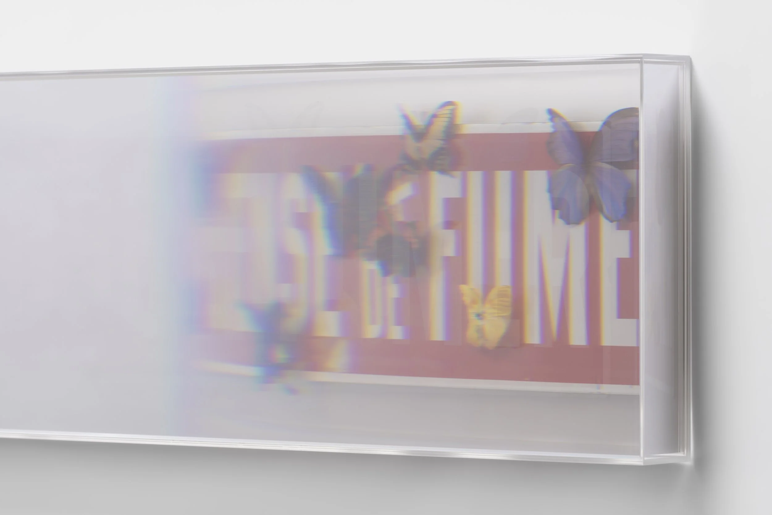 Kohei Nawa: Photon Camp