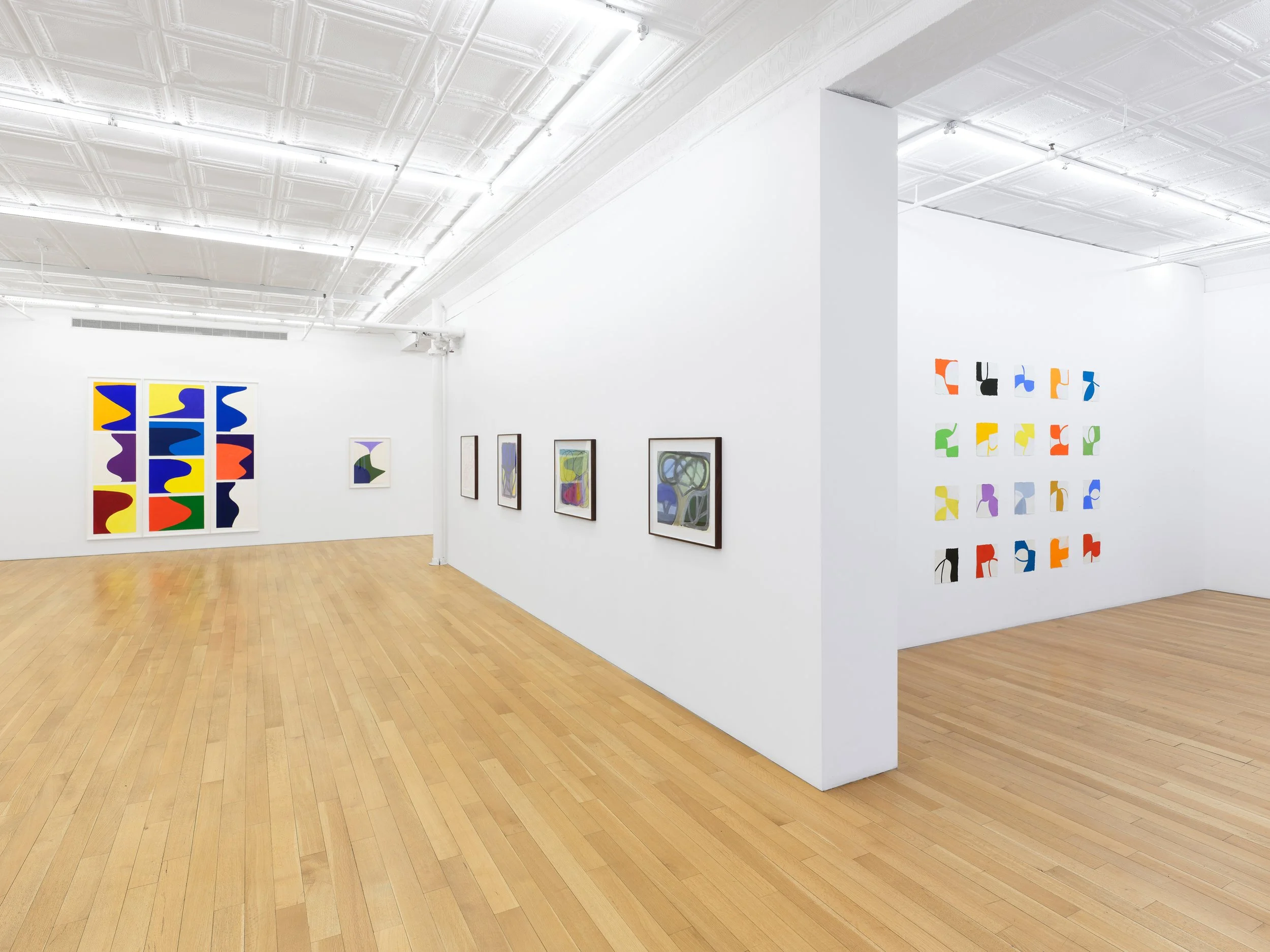 11 Marina Adams Works on Paper A Survery_install.jpg