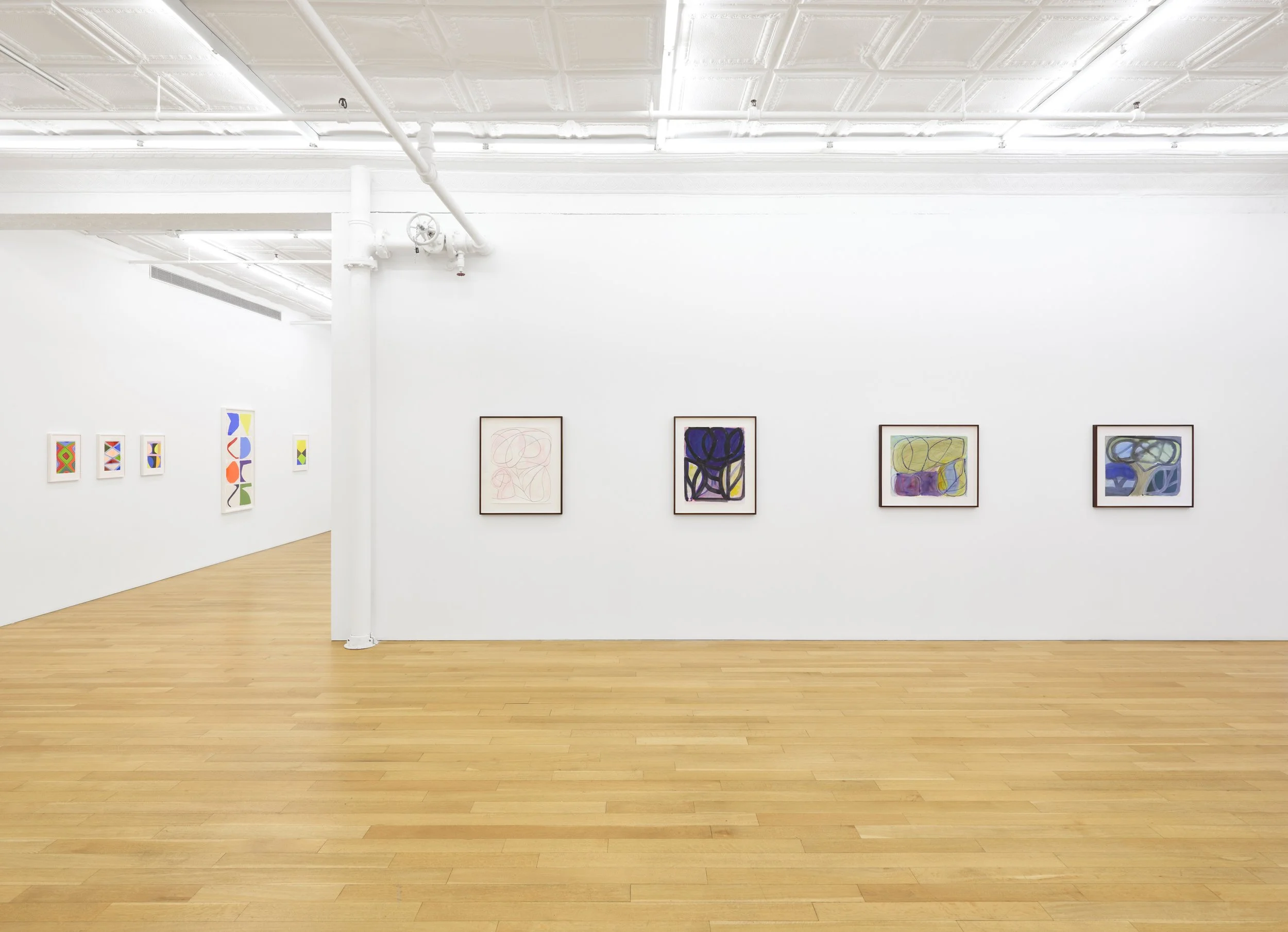 12 Marina Adams Works on Paper A Survery_install.jpg