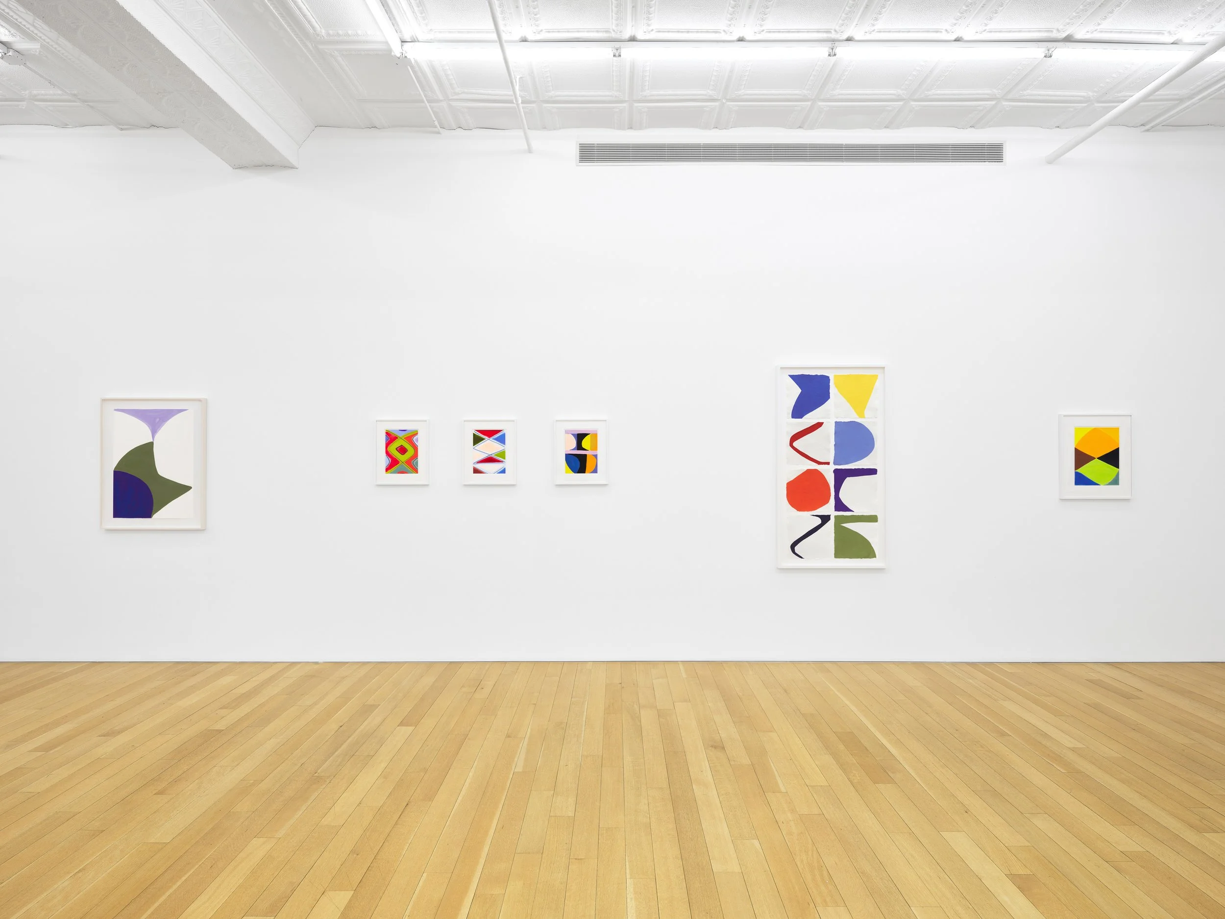13 Marina Adams Works on Paper A Survery_install.jpg