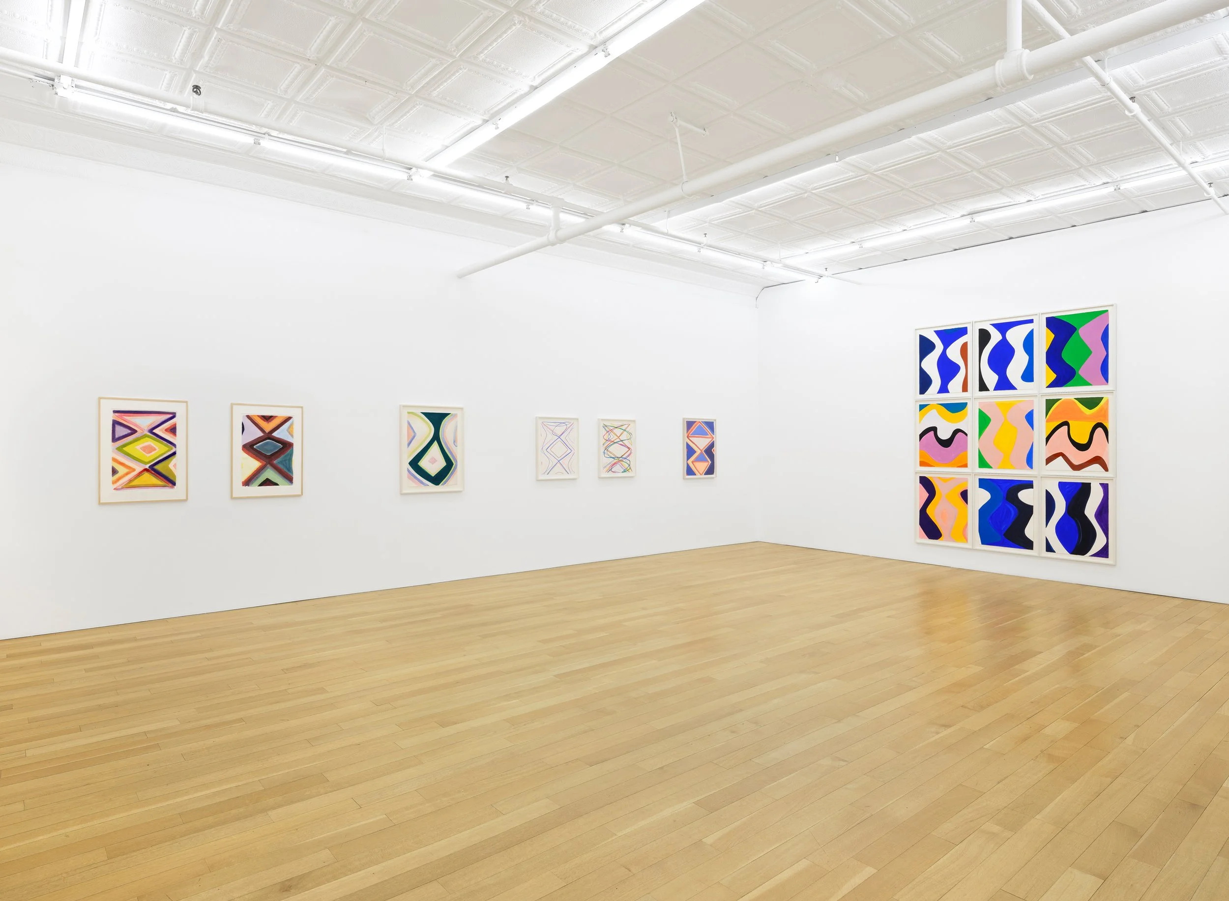 14 Marina Adams Works on Paper A Survery_install.jpg