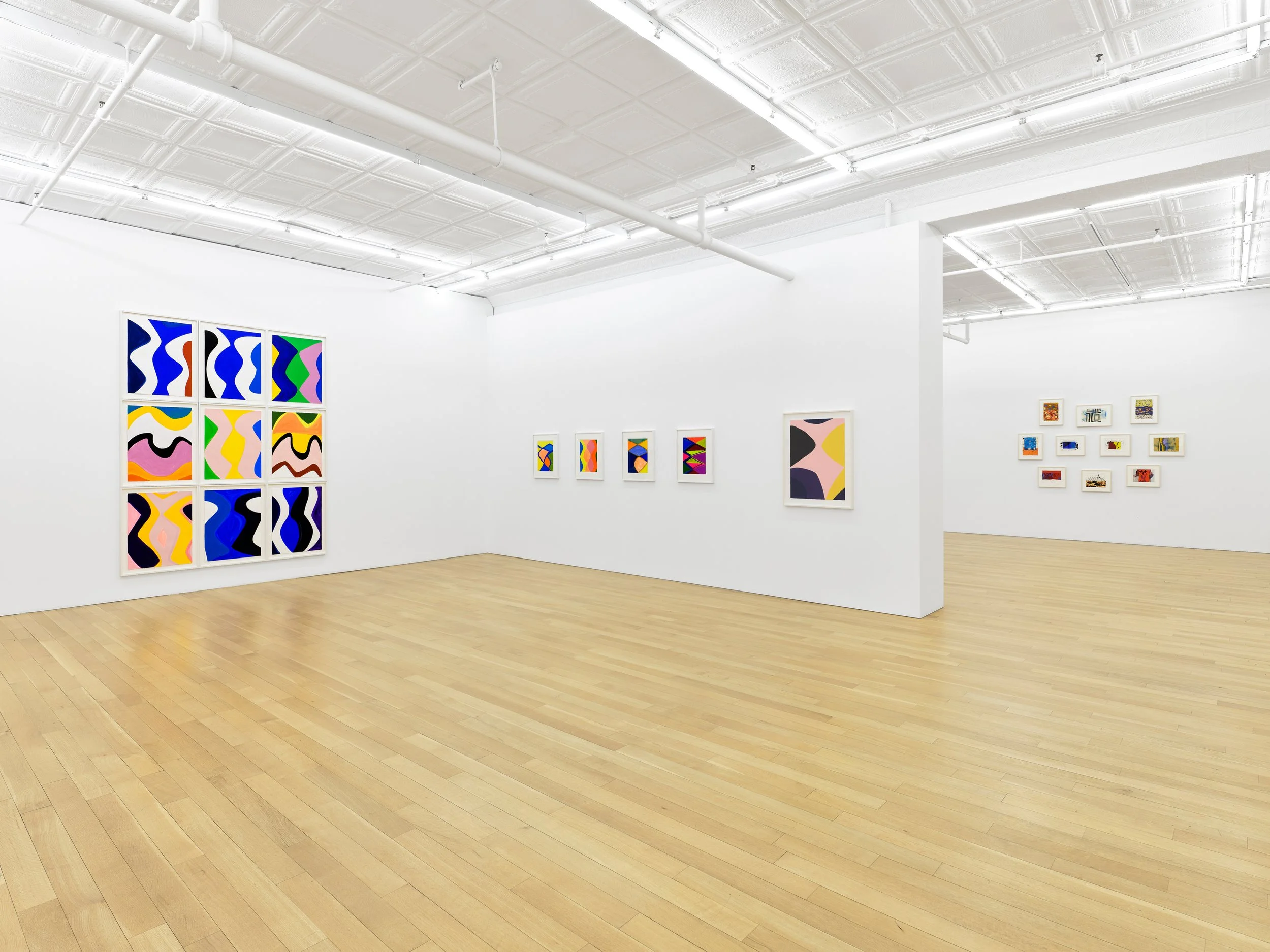 16 Marina Adams Works on Paper A Survery_install.jpg