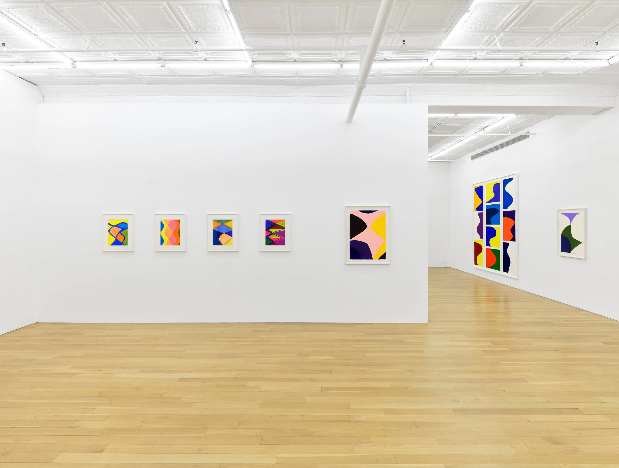 18 Marina Adams Works on Paper A Survery_install.jpg