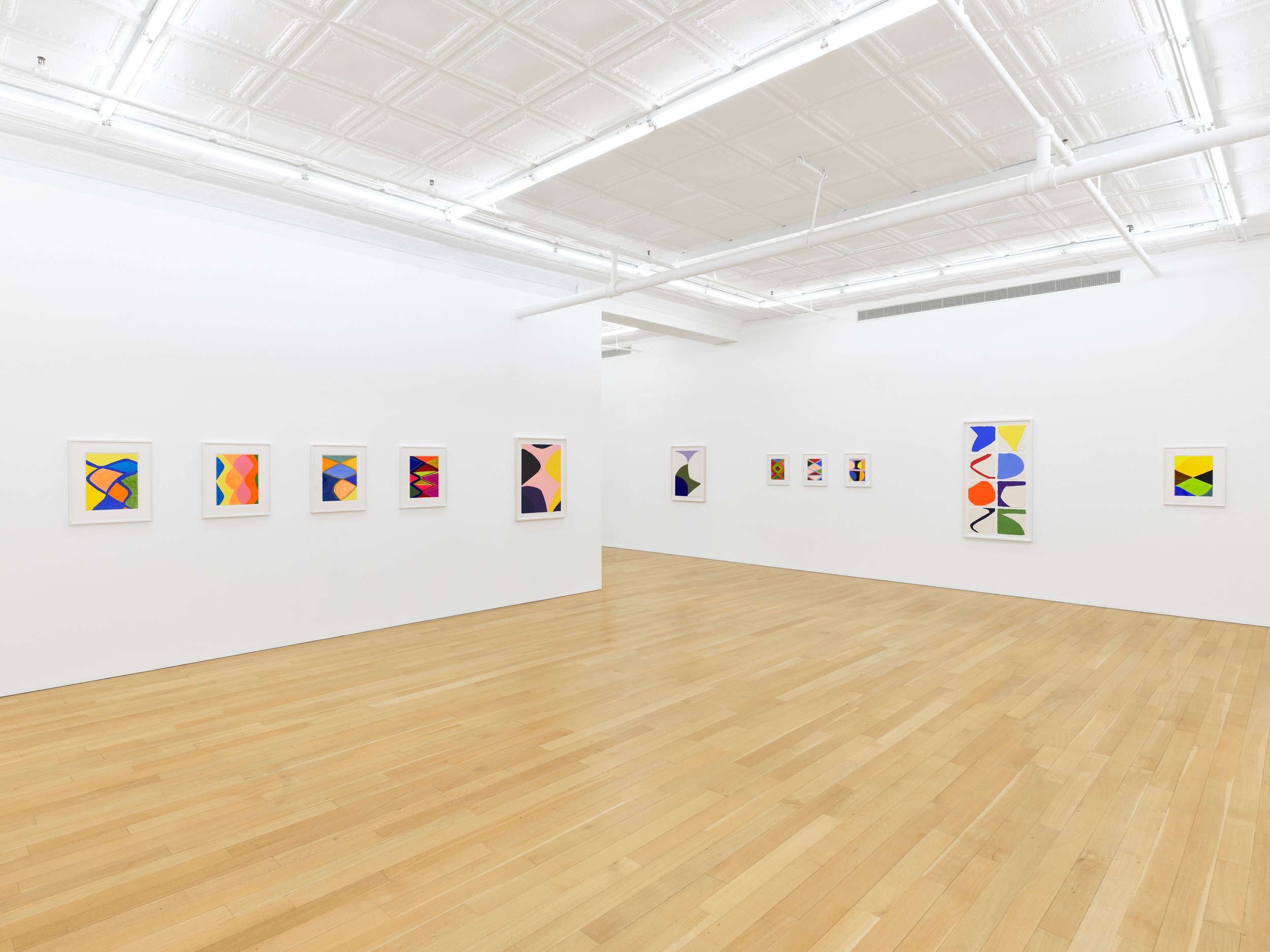 19 Marina Adams Works on Paper A Survery_install.jpg