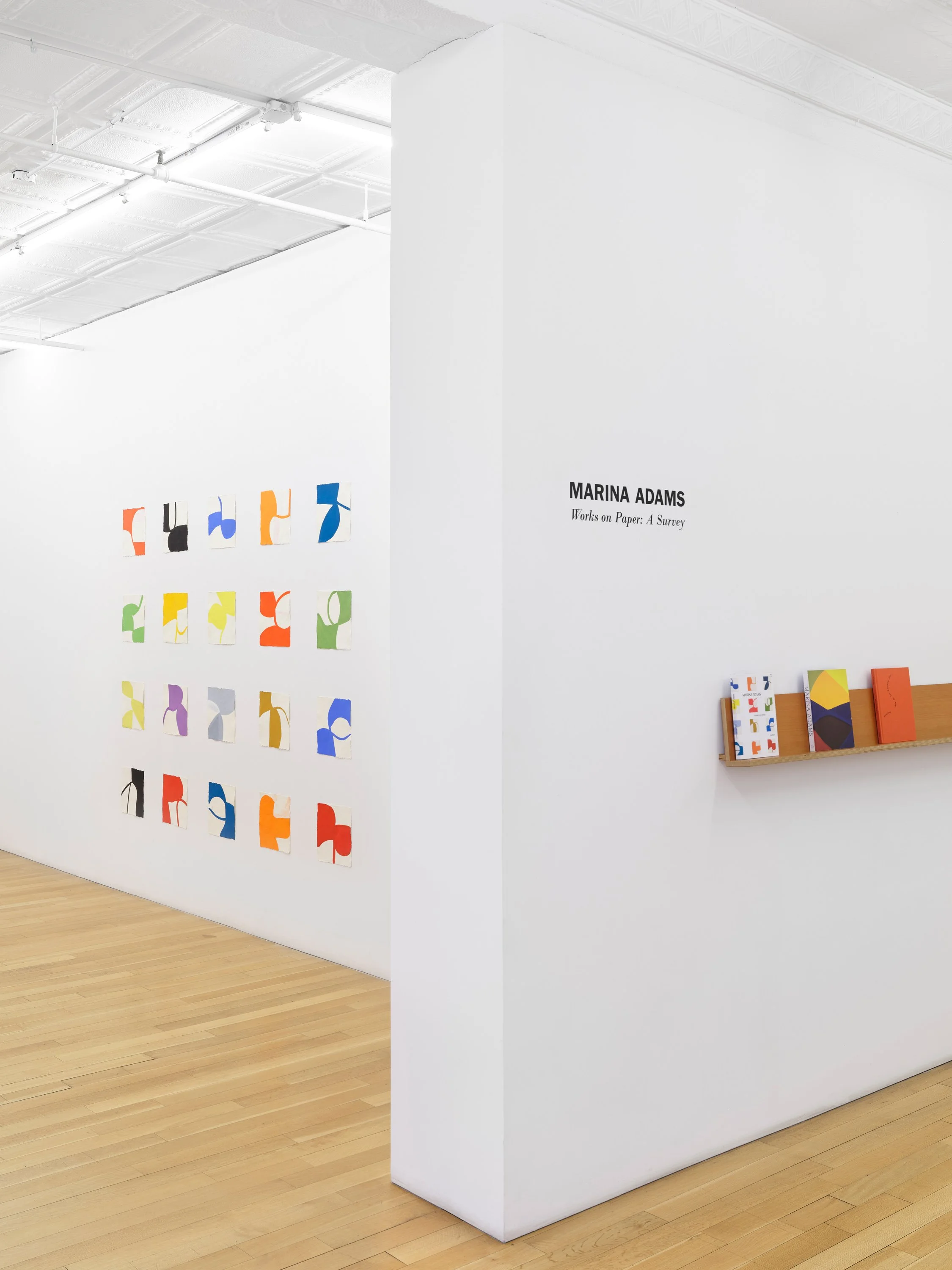 Marina Adams: Works on Paper: A Survey