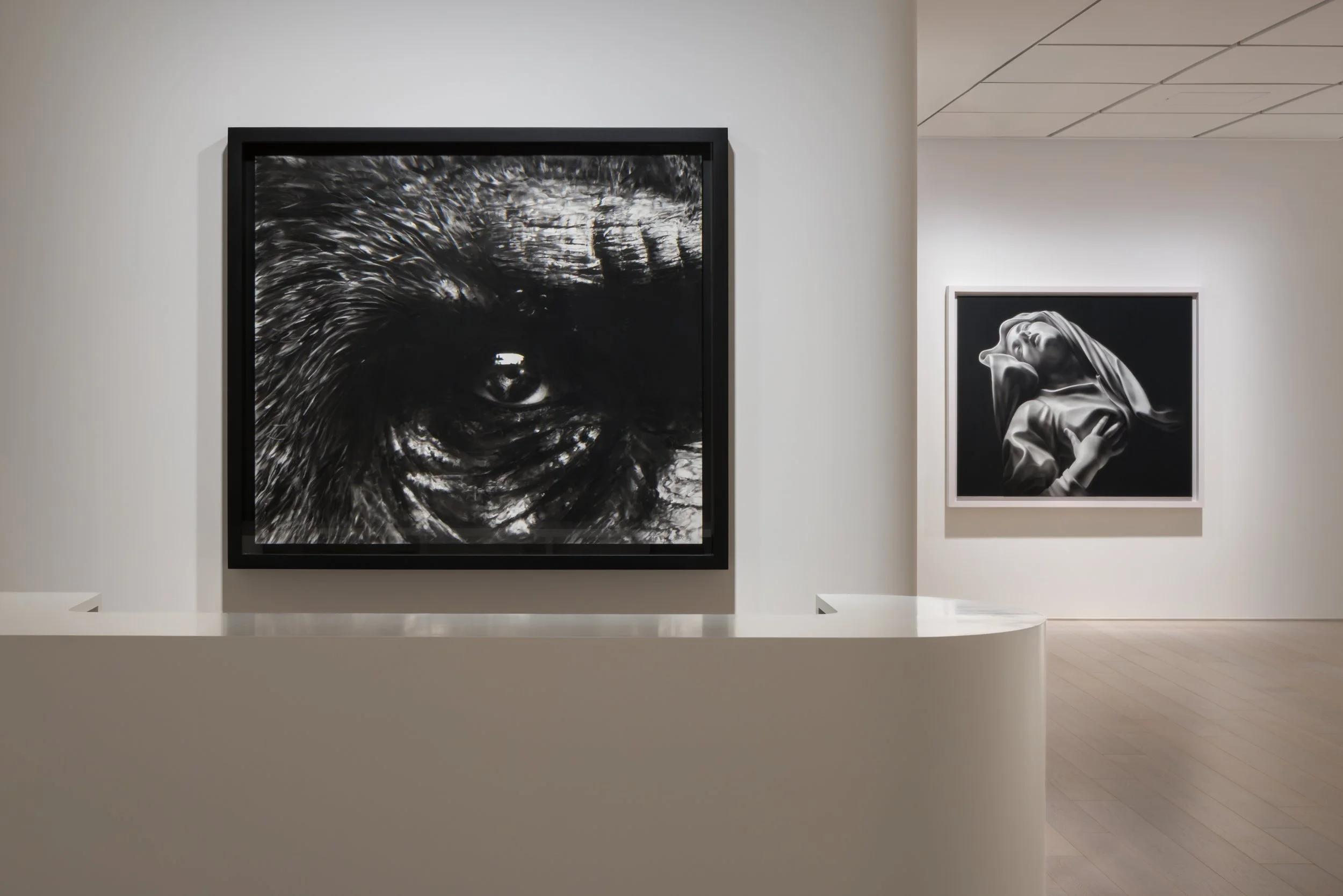 Robert Longo: Angels of the Maelstrom
