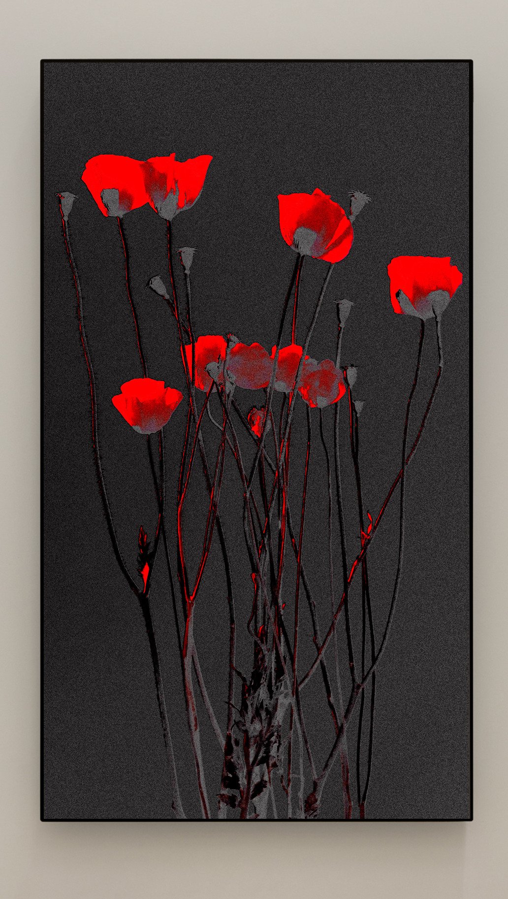 Michal Rovner:Pragim — Arte Realizzata