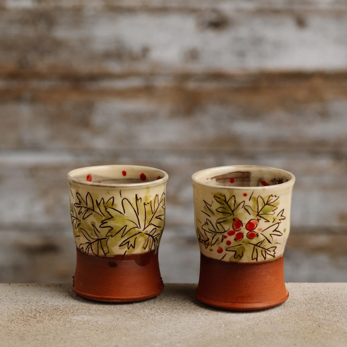 Thank you so so much to everyone who supported my winter shop update. I&rsquo;m so grateful.

It&rsquo;s now all done! The parcels are all on their way and my online shop is shut until next year.

Thanks to your generosity, I was able to donate &poun