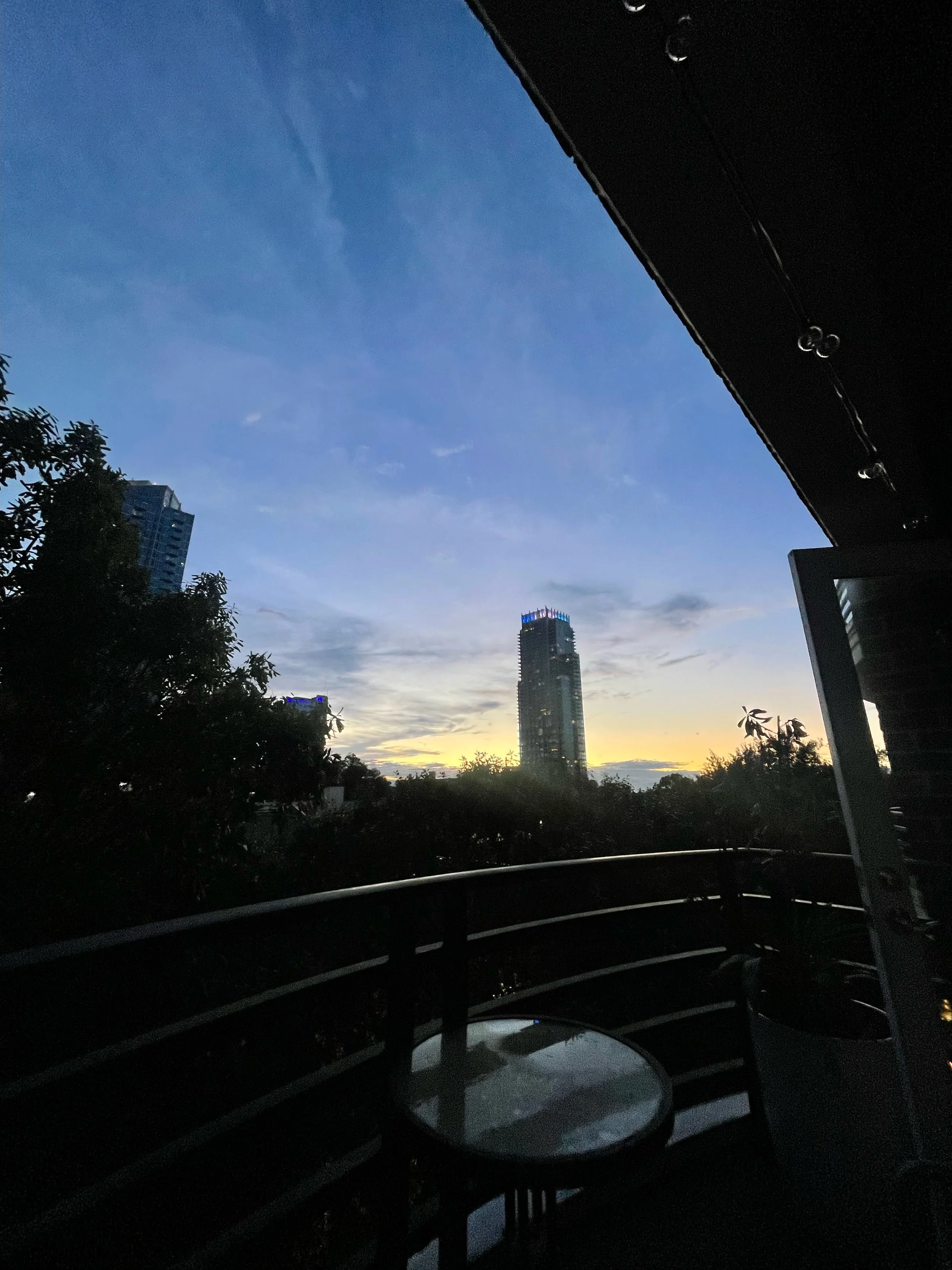 Navigating the Jungle of Life: Choosing Myself and the Heart Within