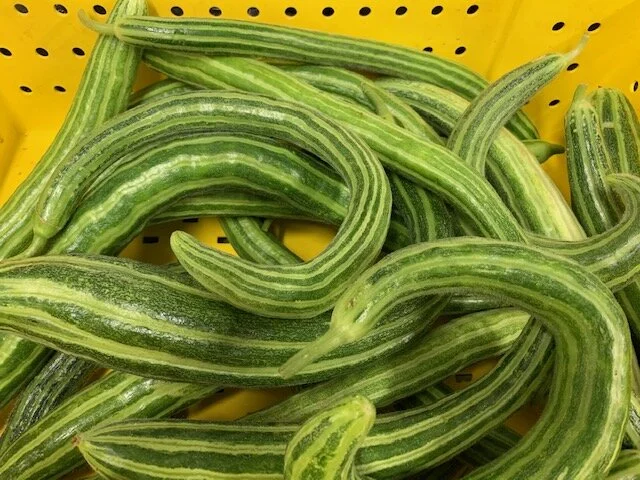 Comanche Creek Farms