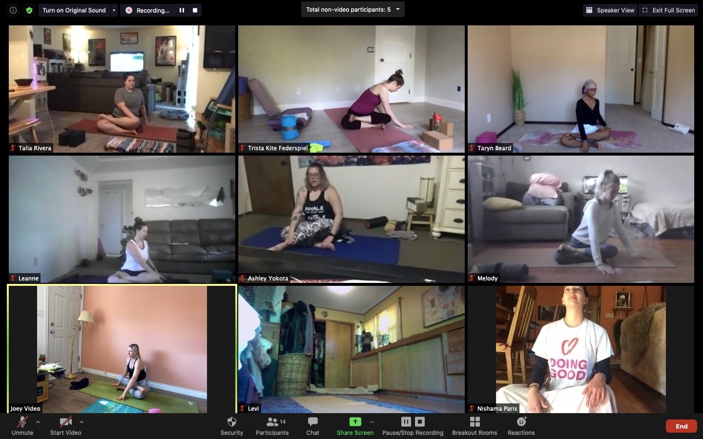 virtual 200 hr Yoga Teacher Training near Camas WA, Vancouver WA and Portland OR + Shamanic Ceremony + Energy Healing