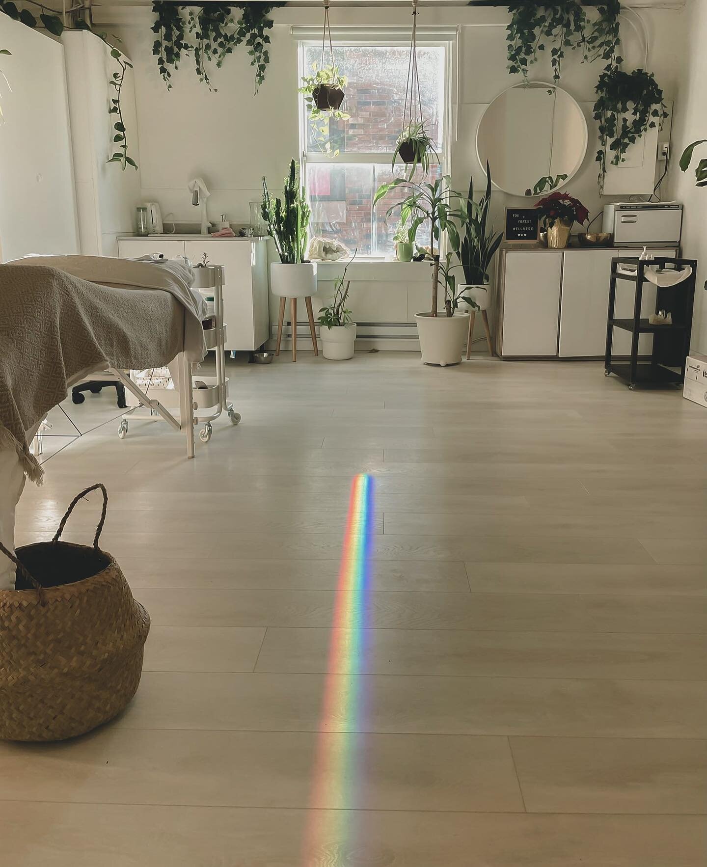 Love when our rainbow runway appears. 💃🏾
#rainbow #prism #acupuncture #northshore #northvancouver #lonsdale