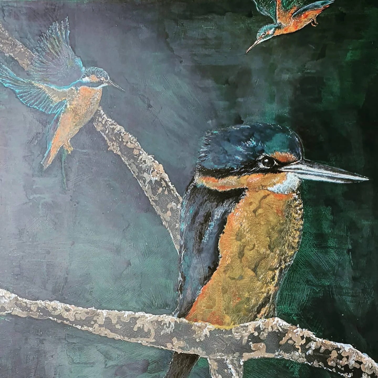 Kotare
1180mmx1220mm
Ink on canvas
Im working on a series of large paintings to celebrate our beautiful NZ birds. 
Please protect and cherish our birdlife.
Each painting I share a special story and some symbolism