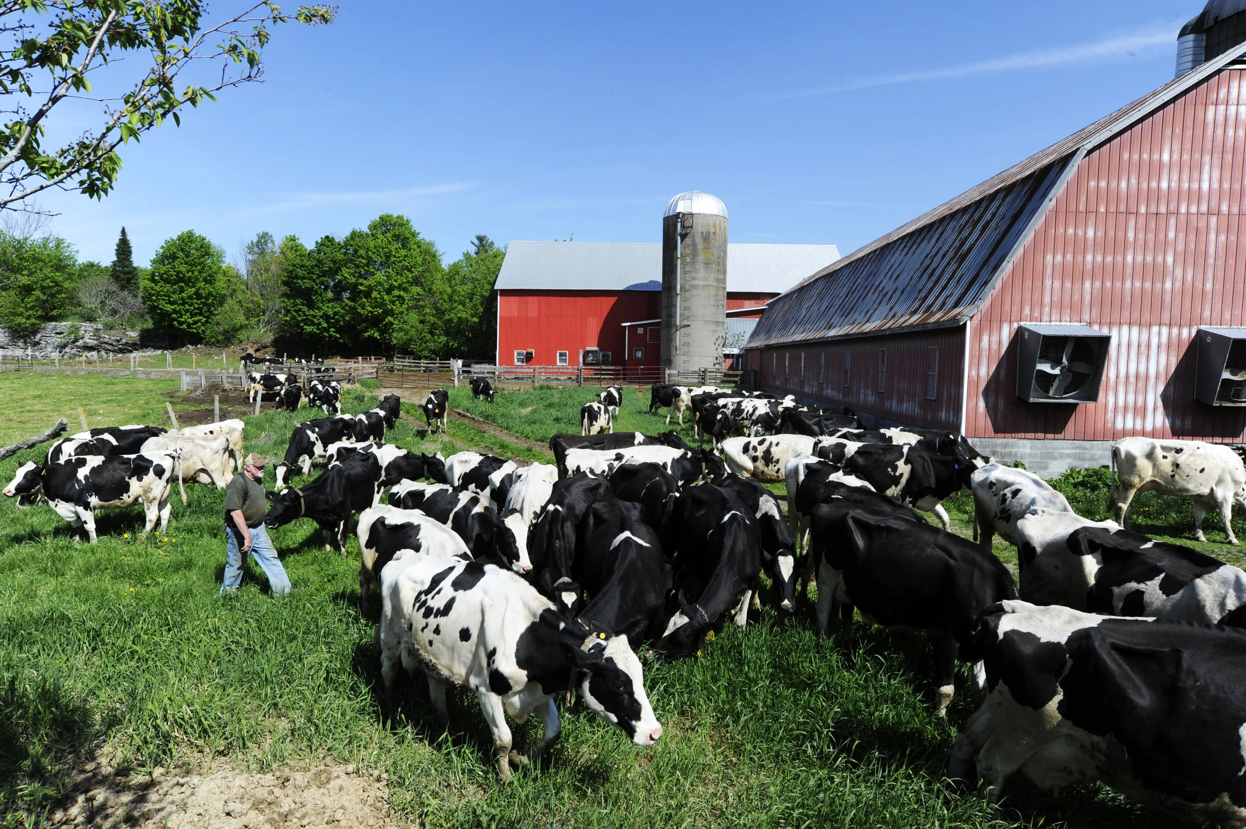 Farm00228creditTAUNY29.jpg