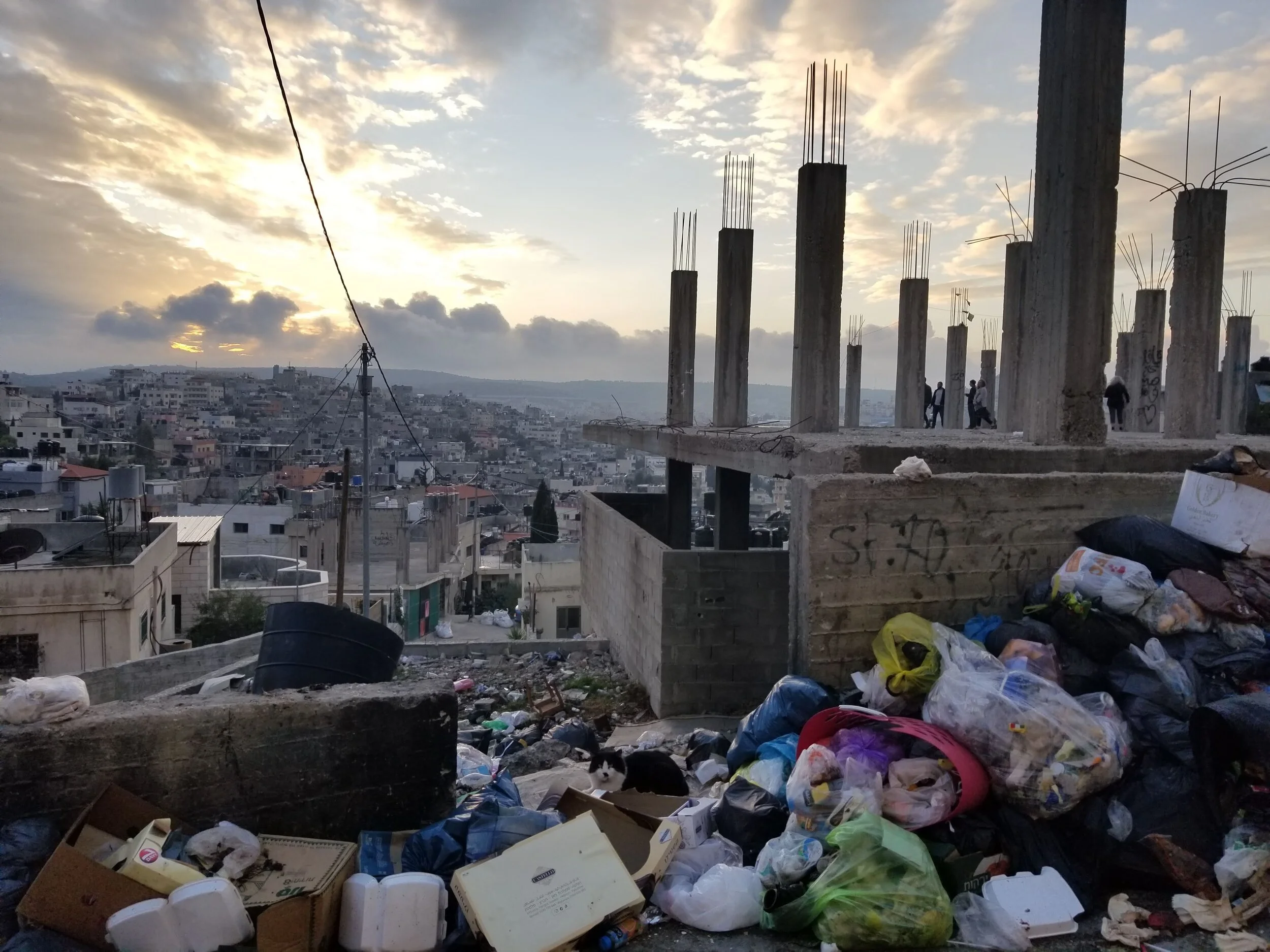 Reflections on Olives etc(2).jpg