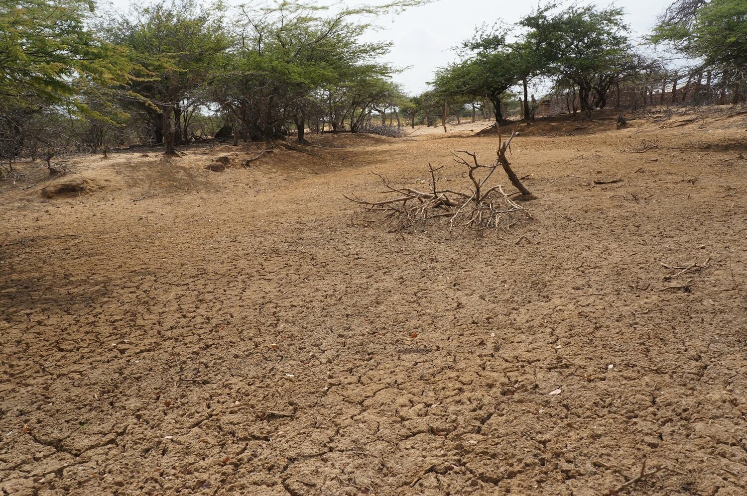 A dried up “Jaguey” caused by a prolonged drought. La Guajira, Colomba. Photo by V.Circe.