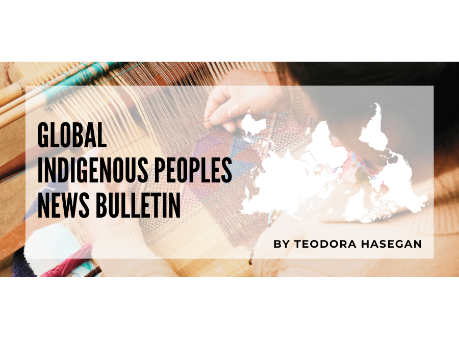 Global Indigenous Peoples News Bulletin #4 (May 2025)