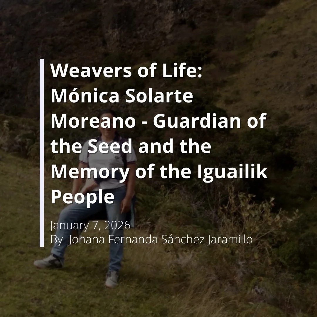 In Iguailik territory, seeds carry memory and resistance. In the latest Weavers of Life, Johana Fernanda S&aacute;nchez Jaramillo profiles M&oacute;nica Solarte Moreano, guardian of native seeds and ancestral knowledge, whose work sustains identity, 