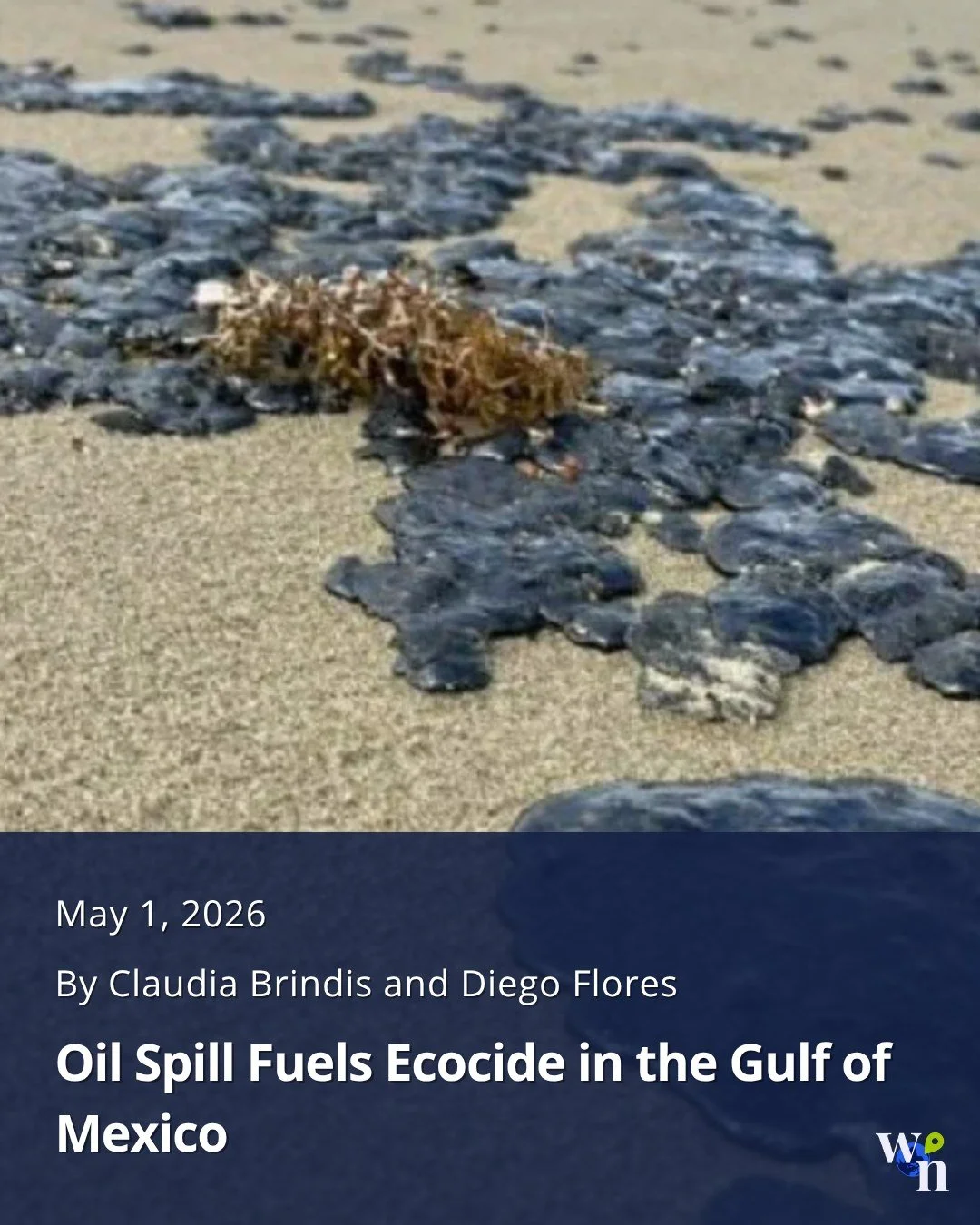 In this new bilingual piece, Claudia Brindis y Diego Flores examine the 2026 Gulf of Mexico oil spill, the institutional failures surrounding it, and why many are calling it an ecocide. From contaminated mangroves and endangered species to the silenc