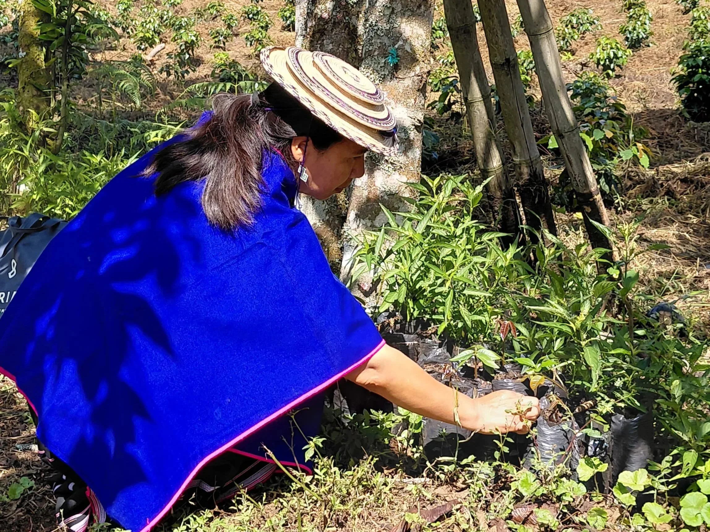 Sowing, Healing, and Caring: Ascensión Velasco’s Threads of Life