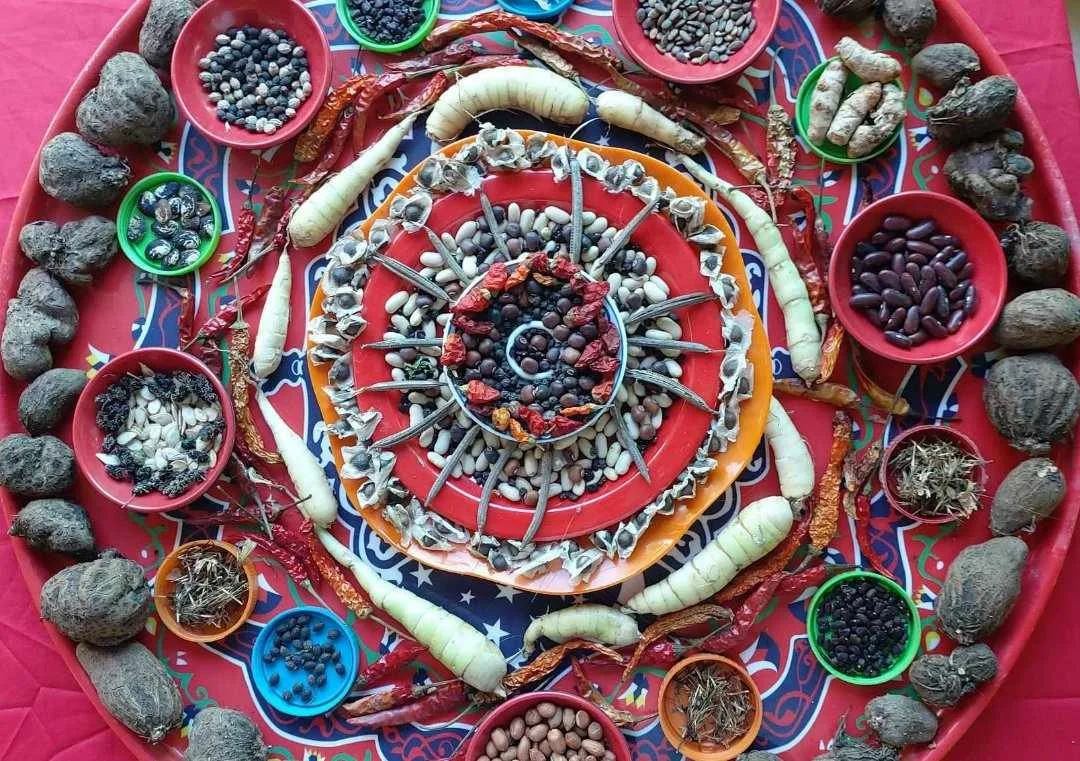 Imminent Ecosystem Collapse Demands a Food System Transition