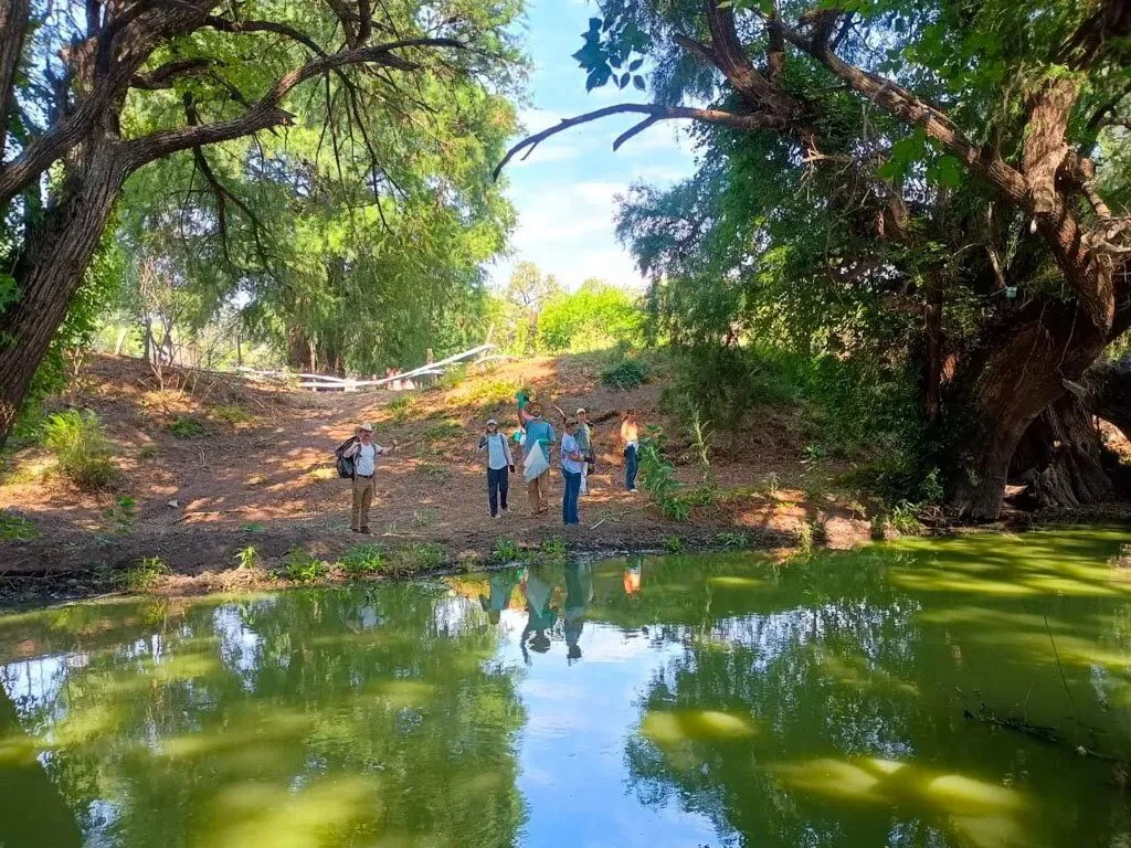 Against the Current: A Mexican Town Reclaims Its River