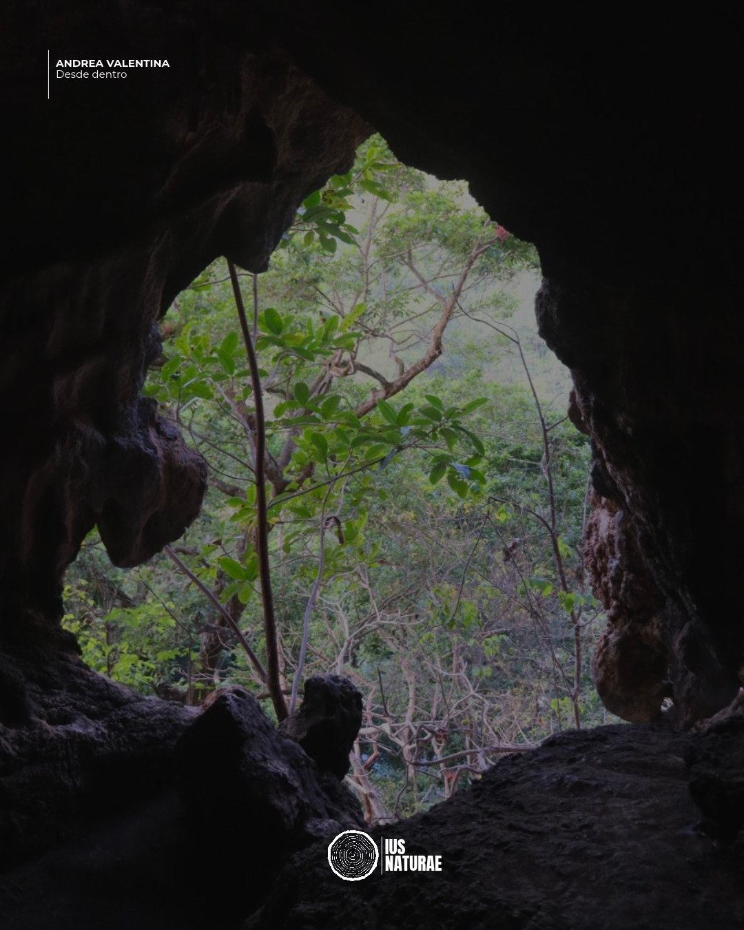 Los Derechos de la Naturaleza en México: Del Activismo Ciudadano a la Reforma Constitucional