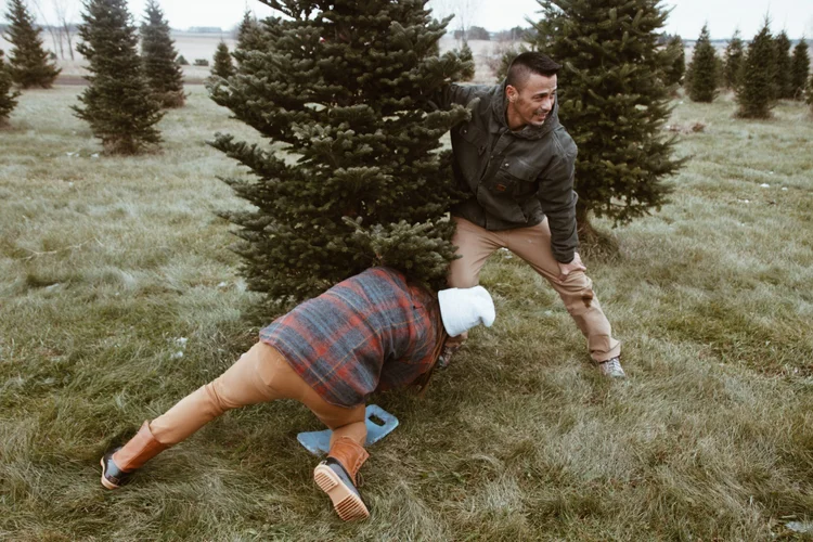 Find your Tree — ChristmasTown, WA