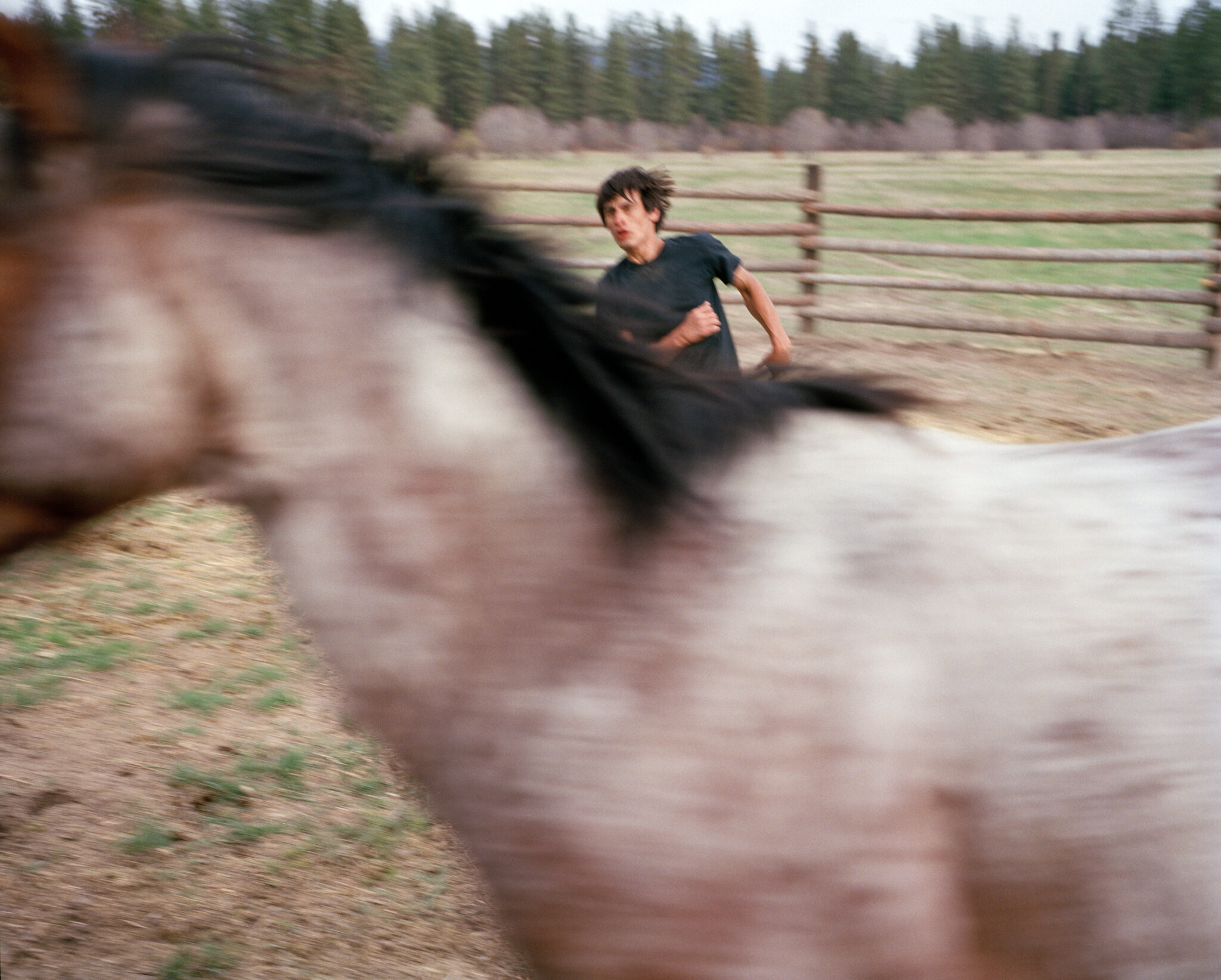 louis training horses 001 1.jpg