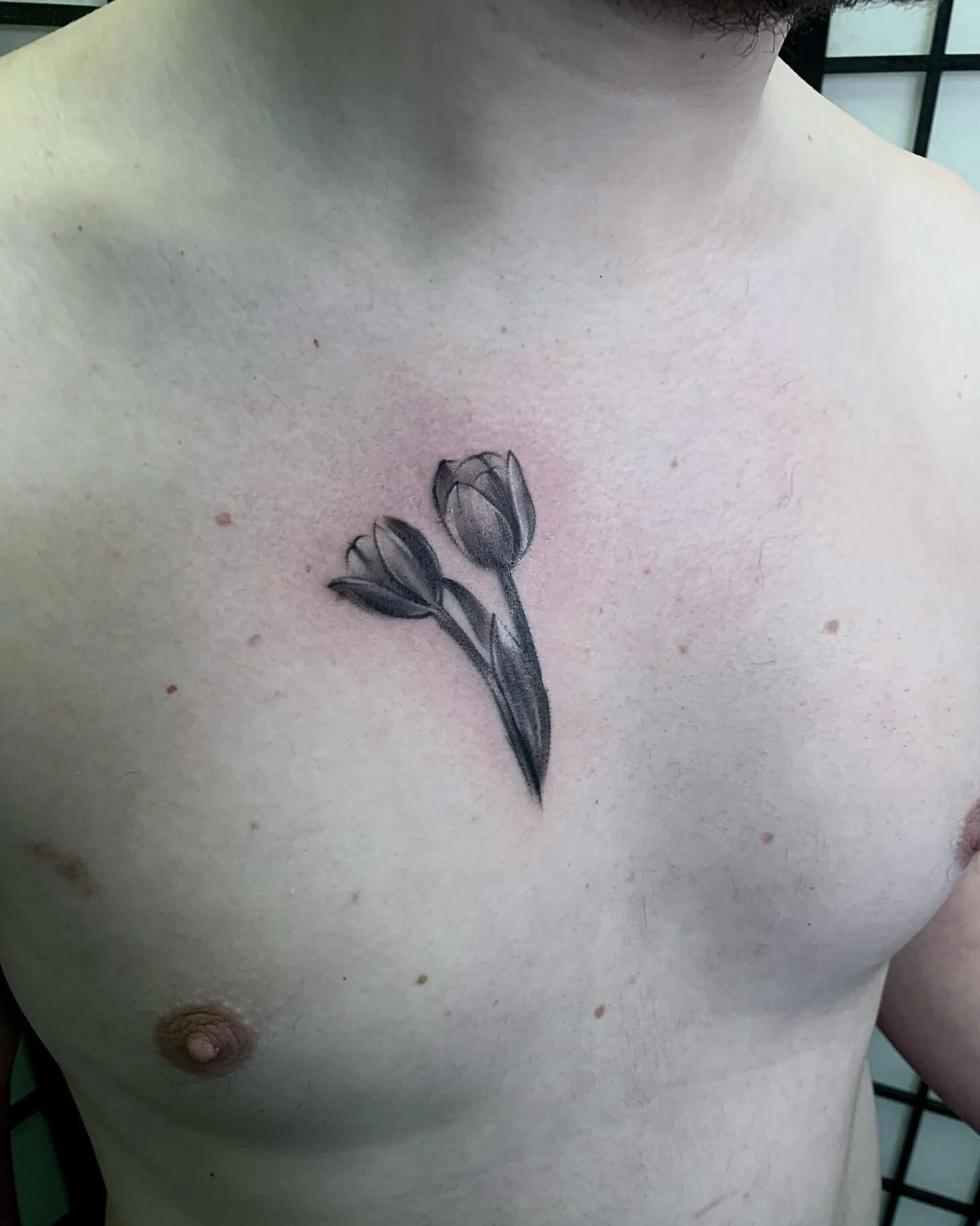 🌷🌷

@freebirdtattoos 

Created using - @kwadron @bishoprotary @dynamiccolor @criticaltattoosupply 

#artistsoninstagram #blackandgrey #blackwork #blackworktattoo #draw #uktattooartists #ink #inked #inkedup #instaart #tattoo #tattooart #tattoodo #ta