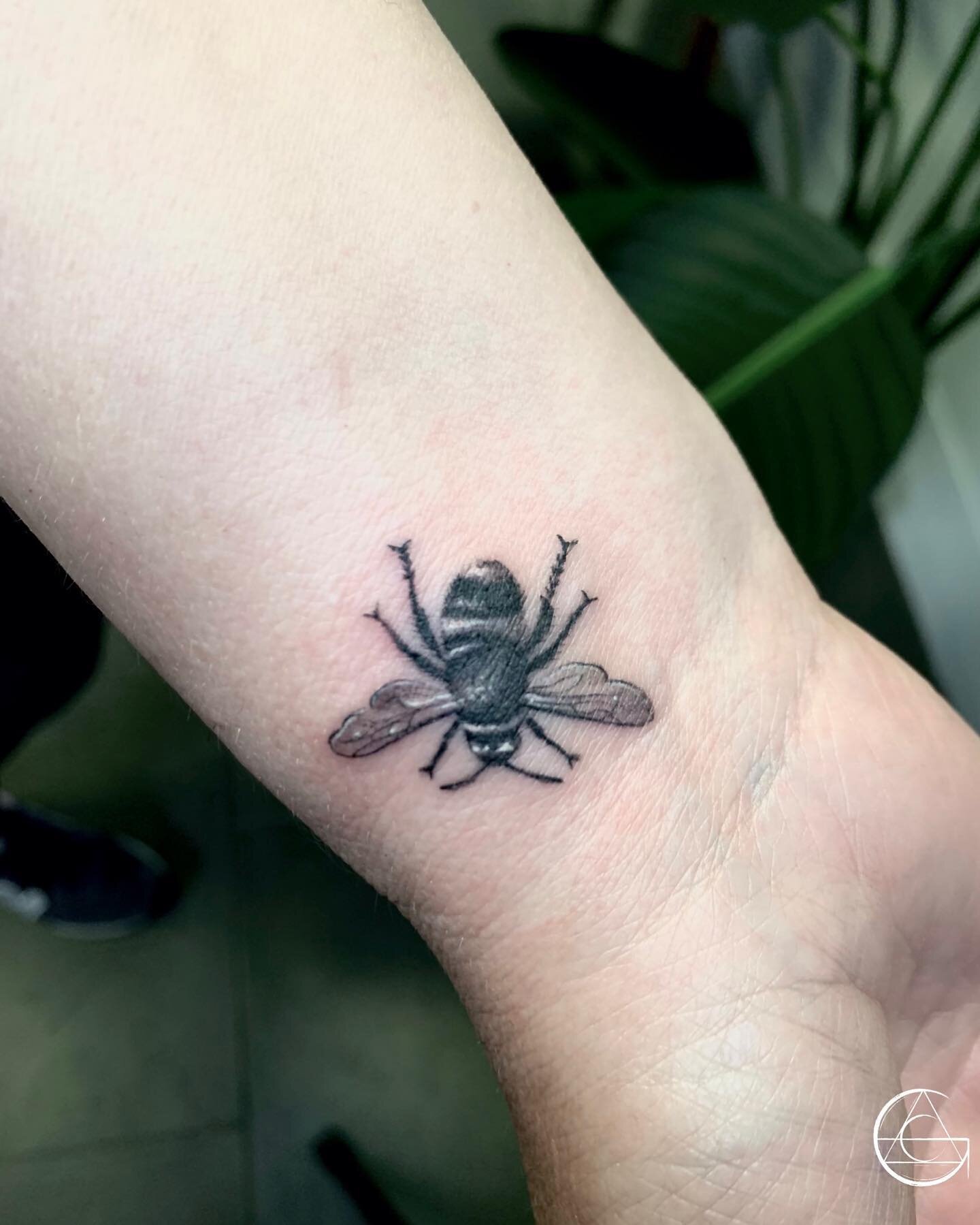 🐝

@freebirdtattoos 

Created using - @dynamiccolor @kwadron @bishoprotary @criticaltattoosupply 

#bee #spring #uktattoo #tattooartist #apprenticetattoo #microrealism #blackandgrey #realsim #blackandgreyrealism #tattooist #tattoo
