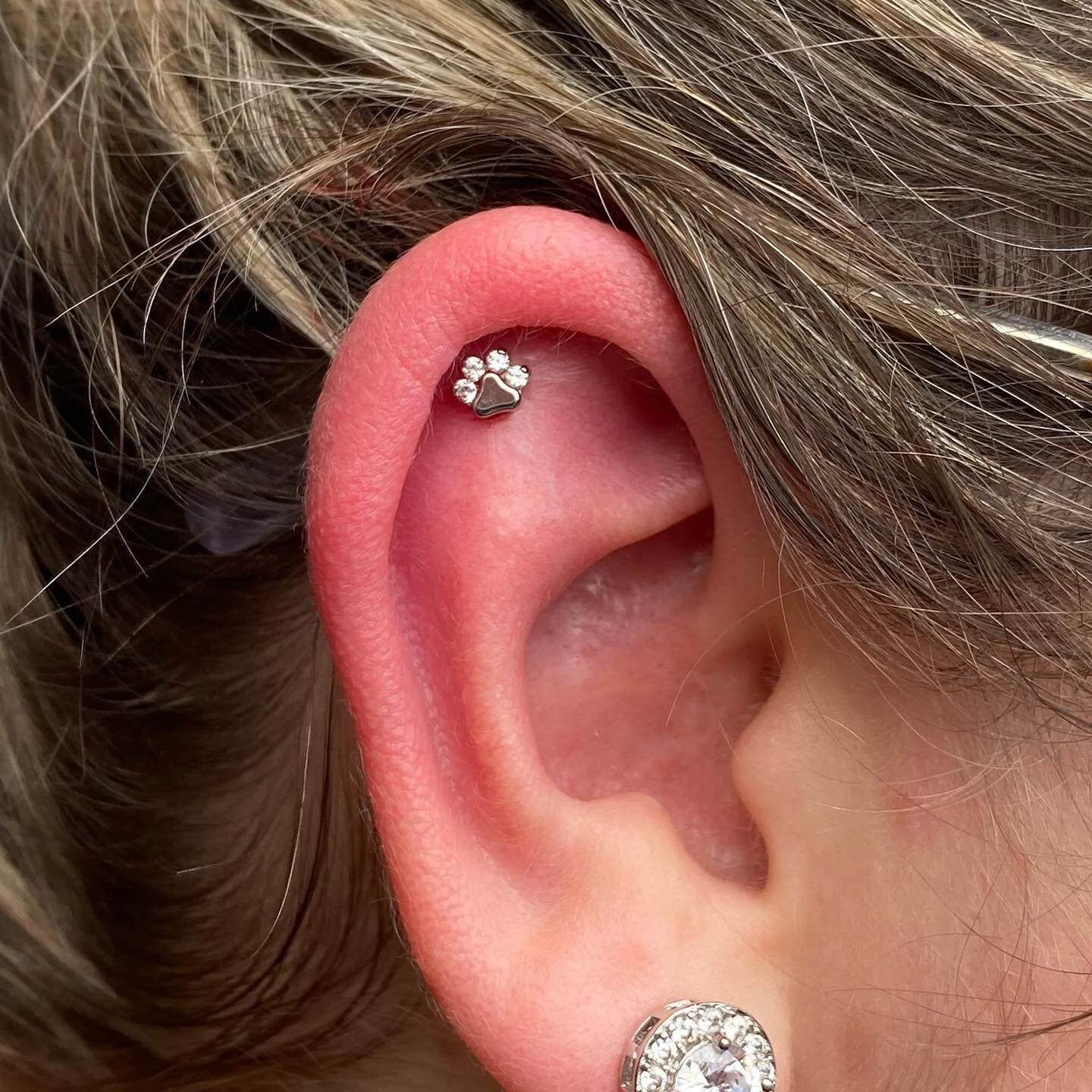 Fresh helix with a paw print piece from @industrialstrength / @industrialstrengthuk 🐾