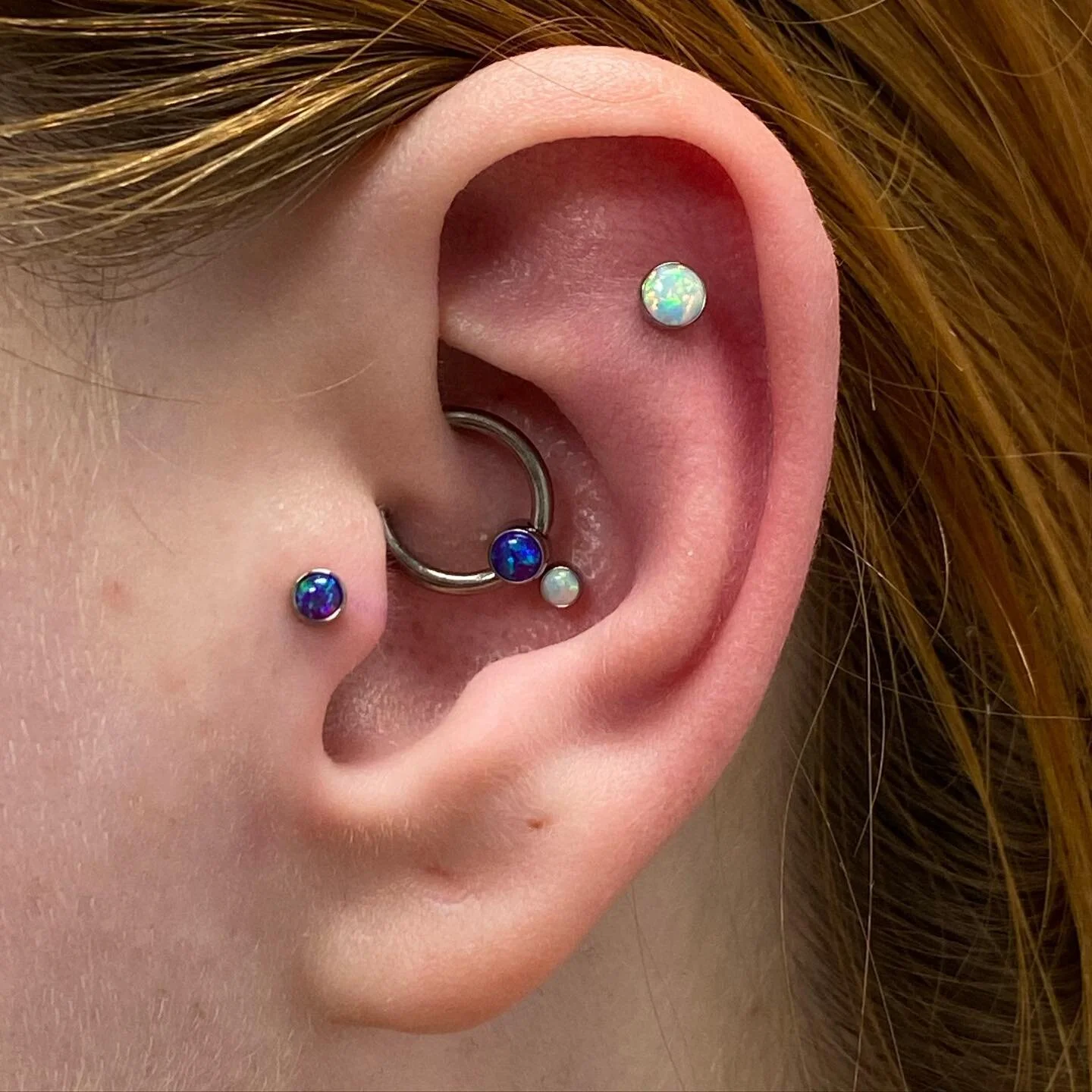 Healed daith, fresh tragus and flat. Jewellery by @anatometalinc 💜🤍