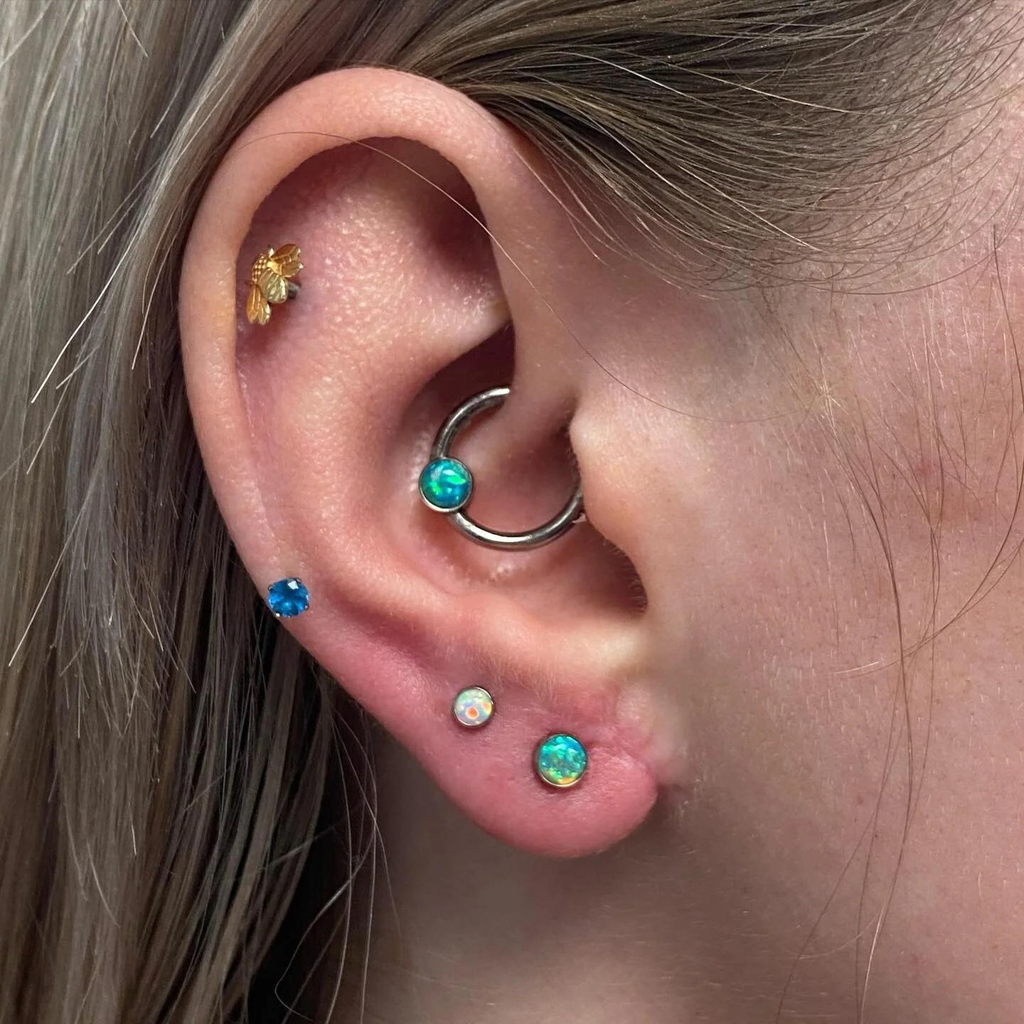 Some fresh lobes after a earlobe reconstruction. Jewellery by @anatometalinc 💚
&bull;
&bull;
#freebirdtattoo #ellesmereport #ukpiercer #lobe #lobepiercing #veganpiercer
