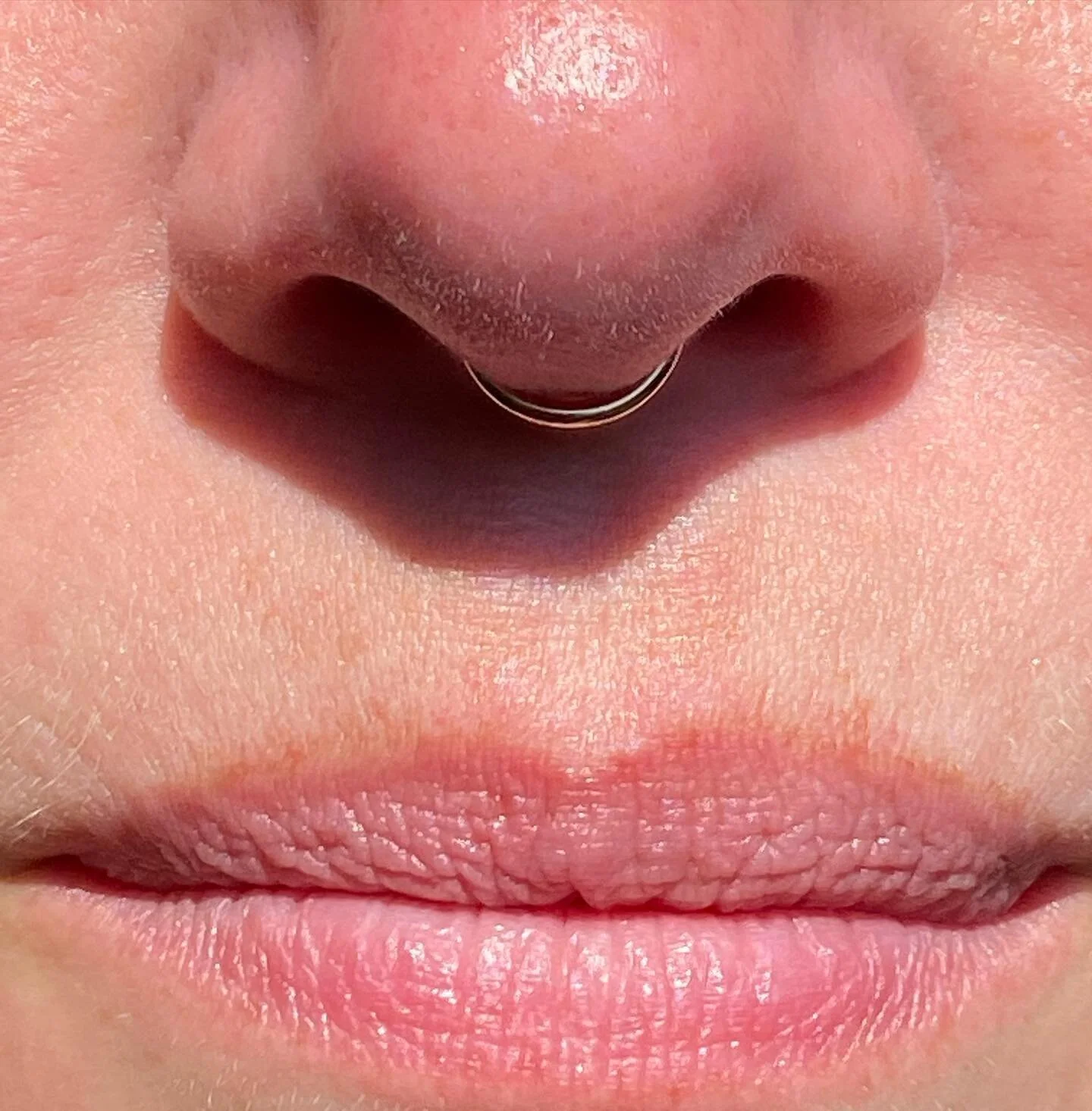 Septum piercing with a yellow gold seam ring from @apex_piercing 🙏🏼
&bull;
&bull;
#freebirdtattoo #ellesmereport #vegantattoostudio #veganpiercer #septum #septumpiercing