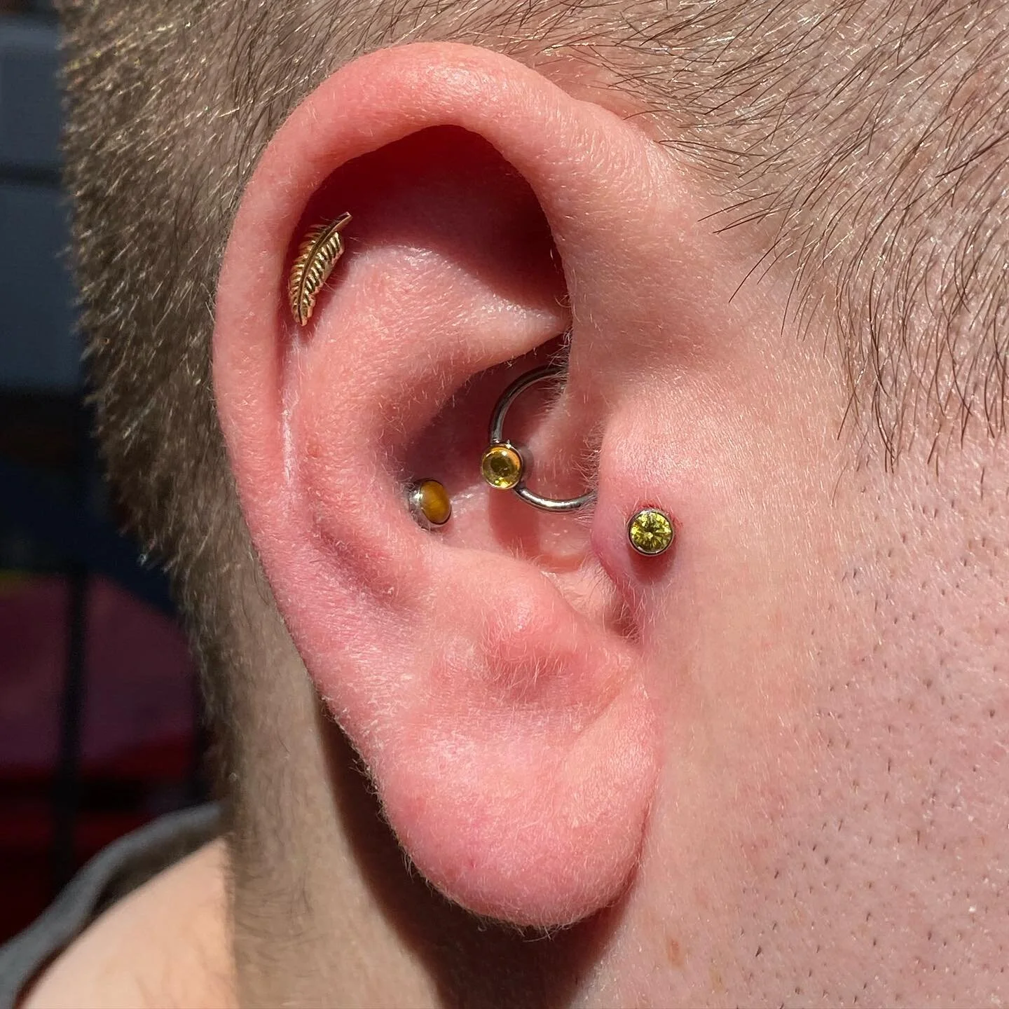 Some upgrades and a fresh tragus for my long time client, slacky. Thank you for the support over the years 🙏🏼 
&bull;
Jewellery from @anatometalinc and @junipurrjewelry 
&bull;
&bull;
#freebirdtattoo #ellesmereport #veganpiercer #vegantattoostudio 