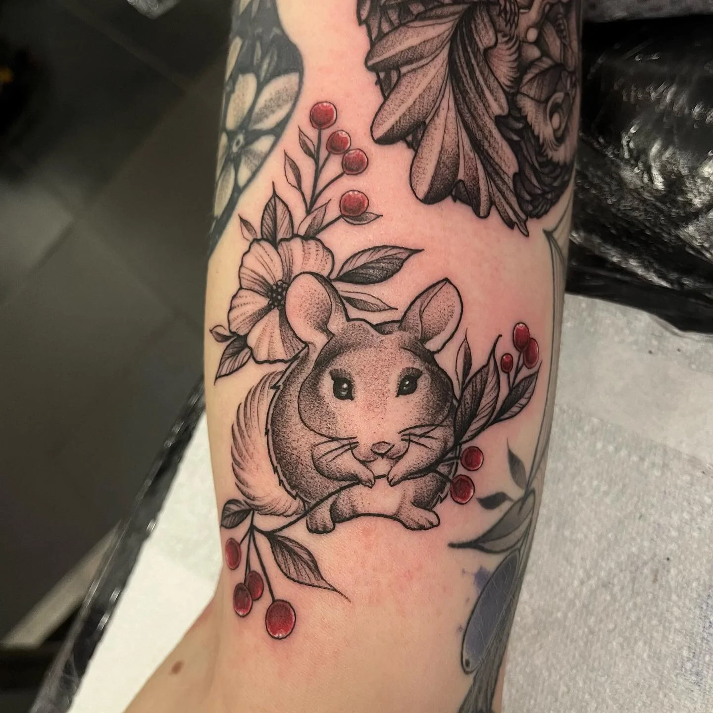 From yesterday, for Steph 💚