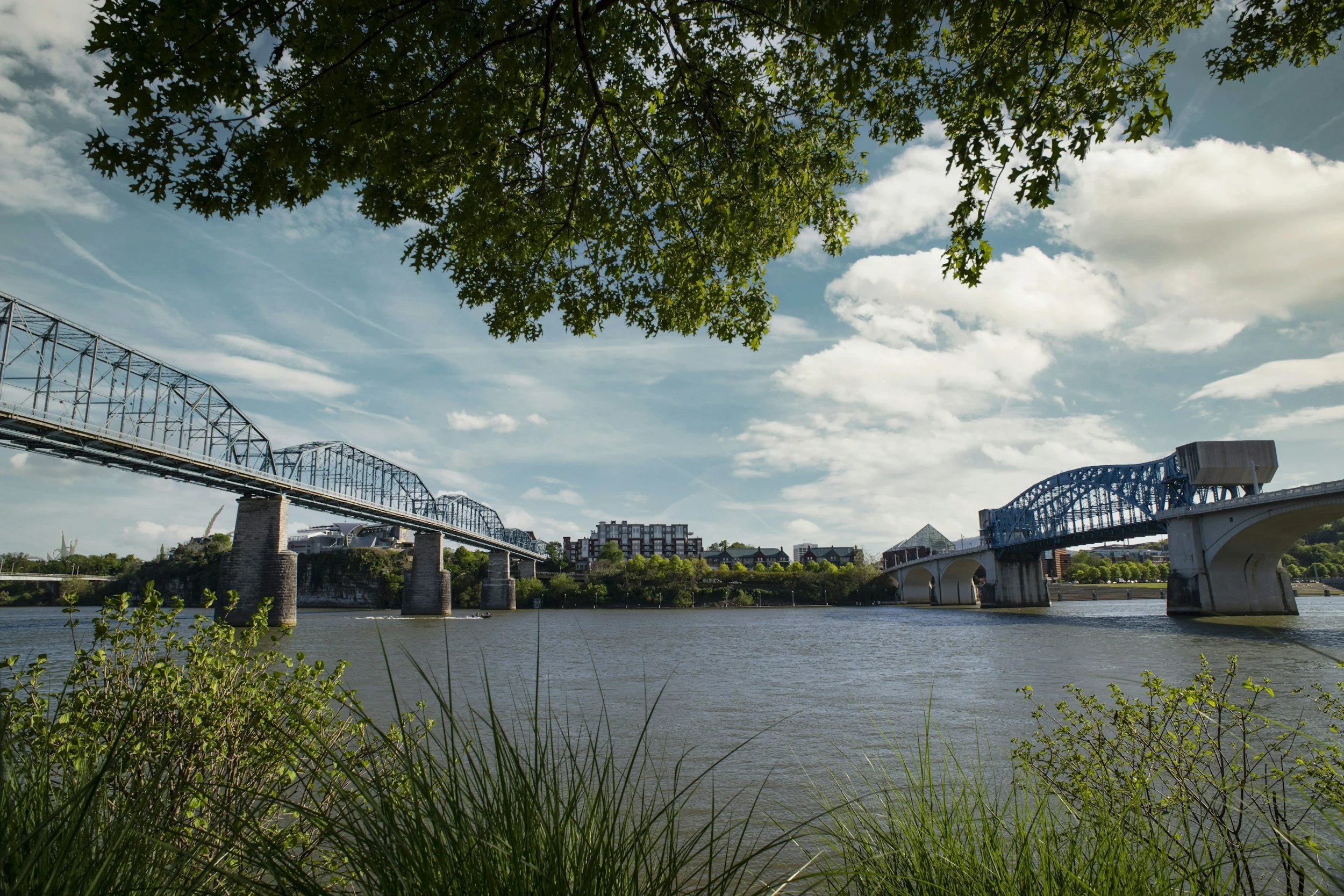 The Chattanooga pedestrian bridge over the Tennessee a river with a cityscape of downtown Chattanooga in the background, framed by green trees and grass, under a partly cloudy sky.