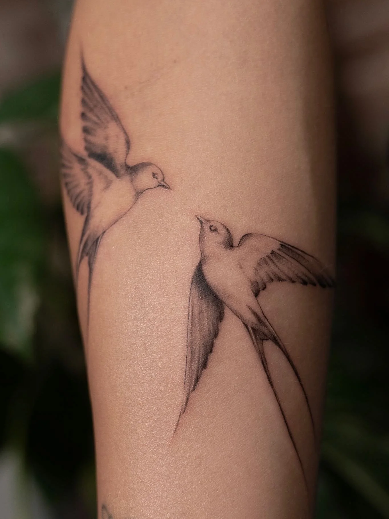 Stylized version of two swallows flying for @natdp2424 
Done at @nicetattooparlor 
using @yesneedle 
.
.
.
.
.
#nicetattoo finelinetattoo #swallowtattoo #birdtattoo #tinytattoo #minimalisttattoo #daintytattoo #lineworktattoo #finelineart #eleganttat