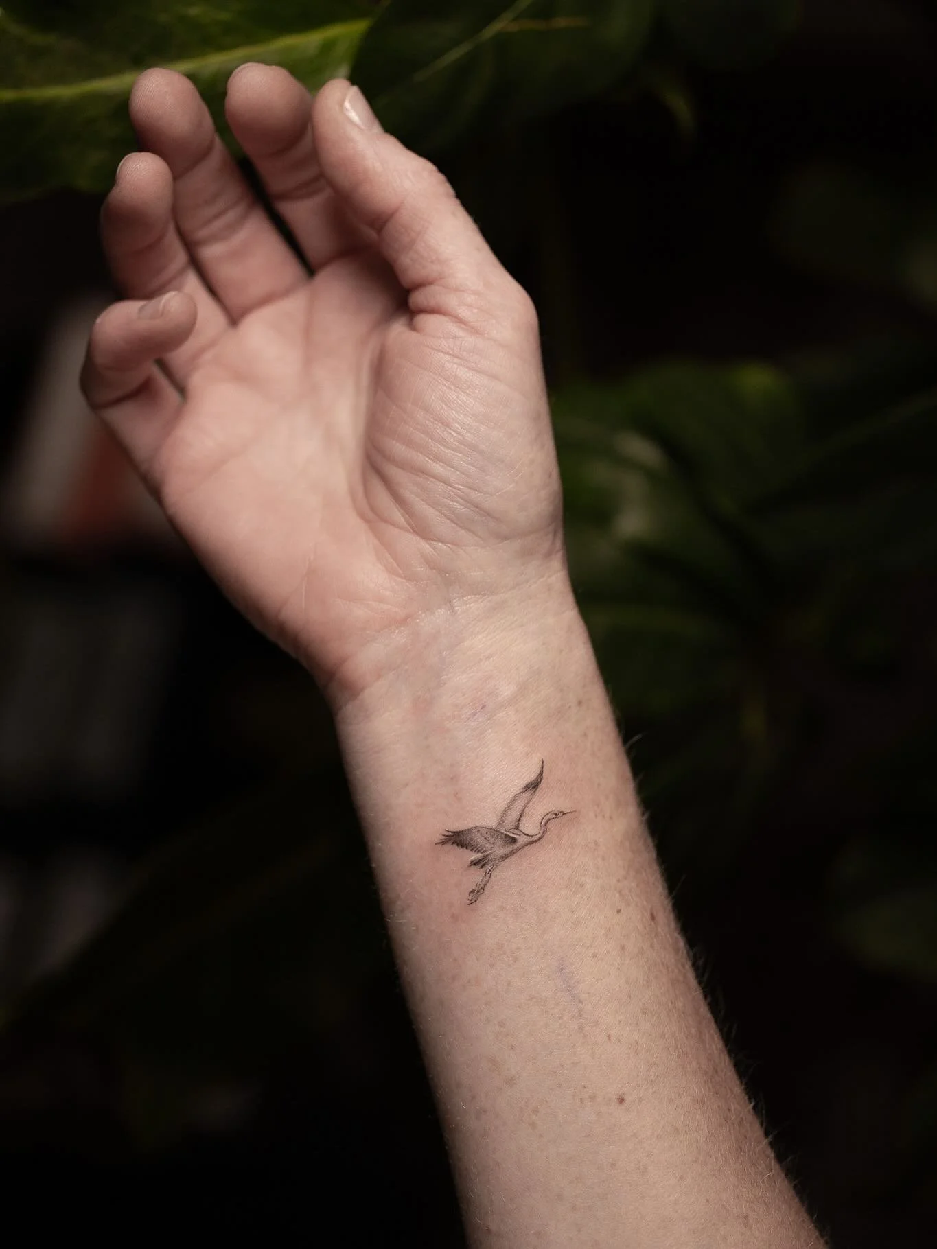 Flying heron xs for Anna. Childhood memories ♥