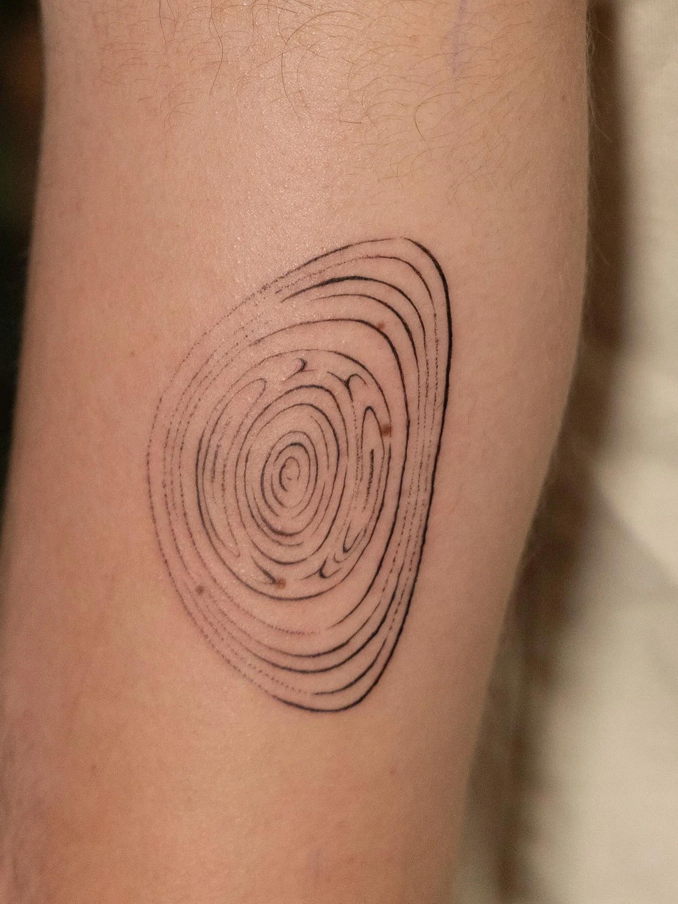 The contours depict the shape of magnetic fields inside a toroidal plasma confinement device called a “tokamak” for Daniel, done at @nicetattooparlor with @yesneedle