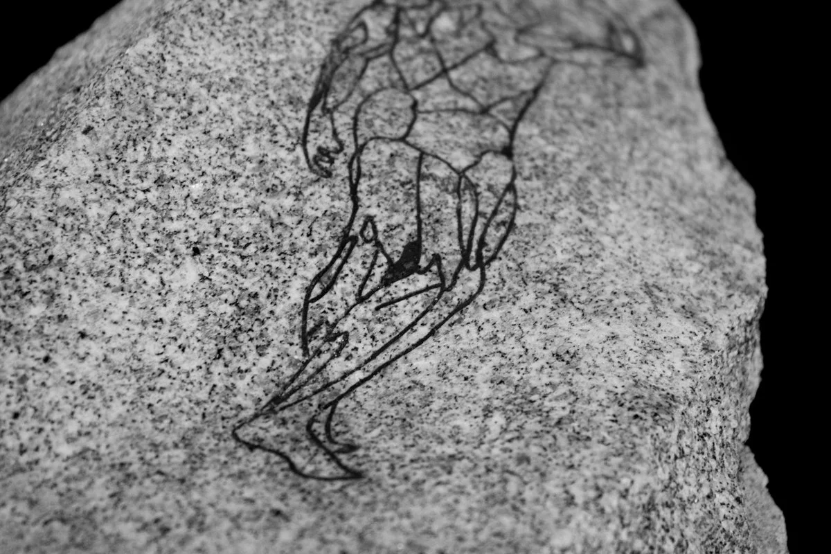 border_rocks -13.jpg